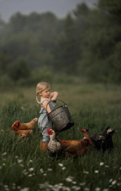 Screenshot 2026-01-22 at 4.07.17 PM.png