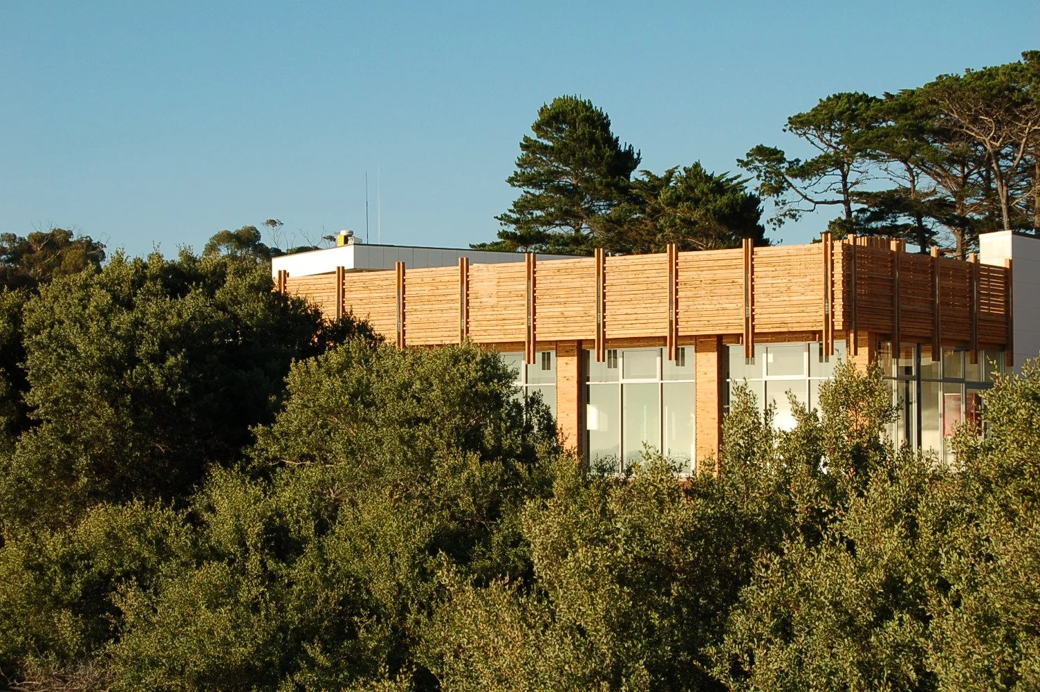 Fisherman's Beach Torquay