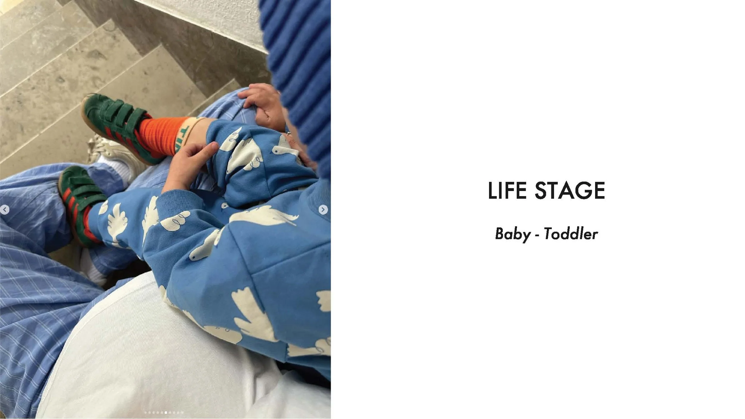 Life stage_Page_6.jpg