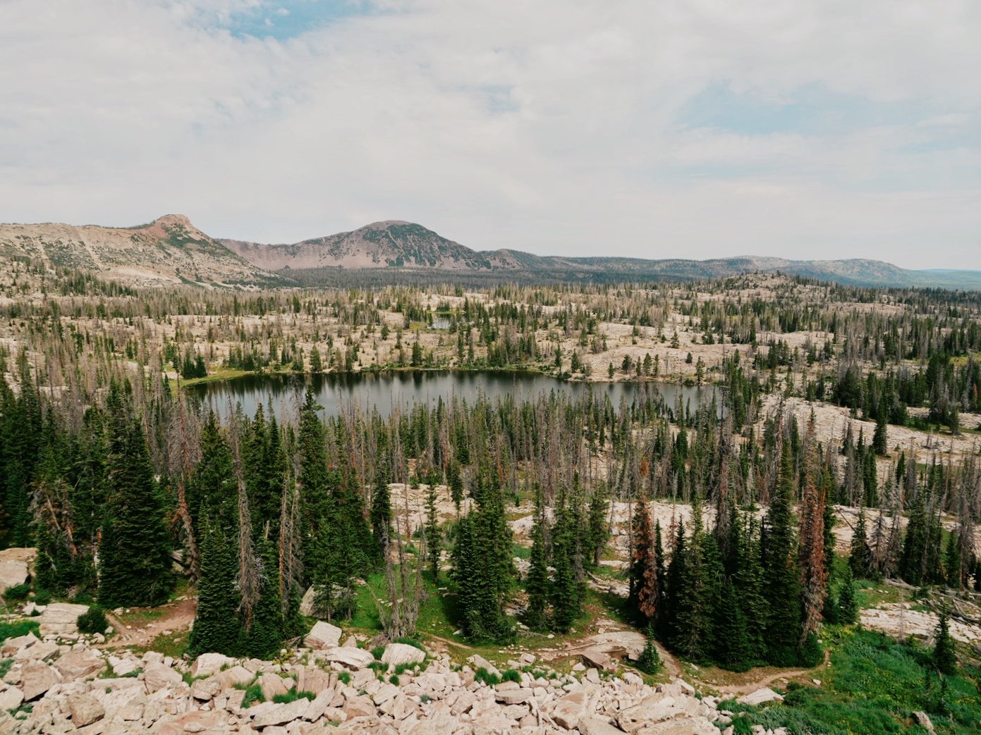 DSC04915.jpeg