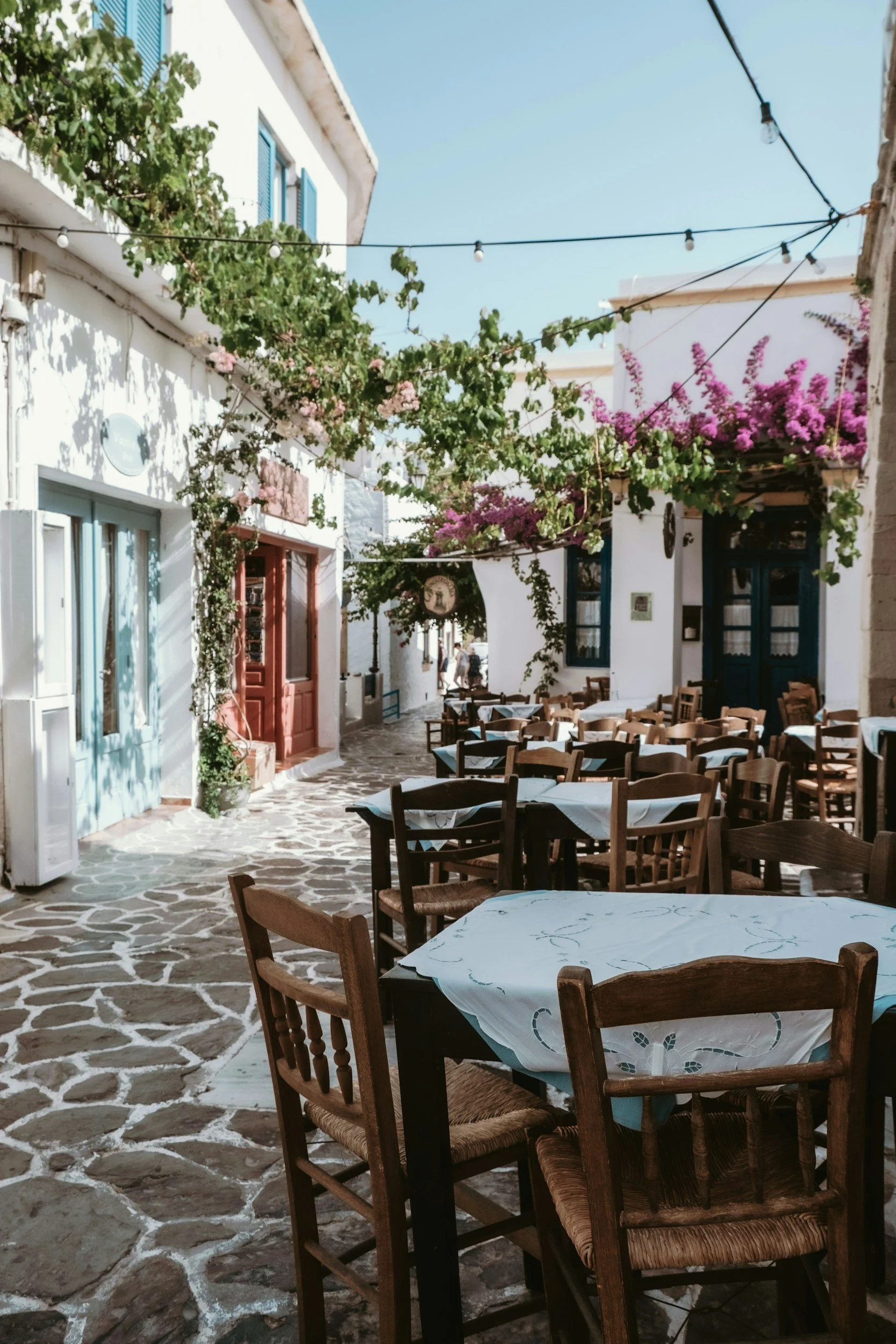 Outdoor tavern dining area, flowers and vines surrounding dining area, Greek dining, About Pavlos Greek Busselton