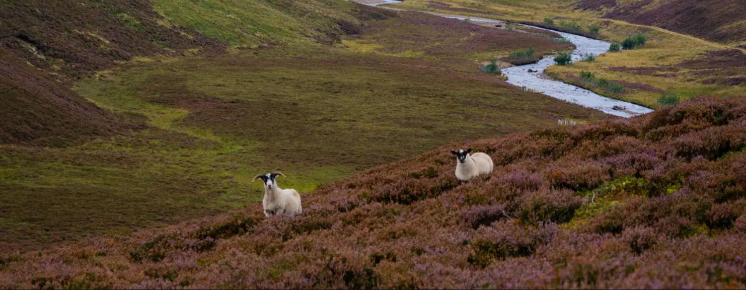 Scottish Highlands