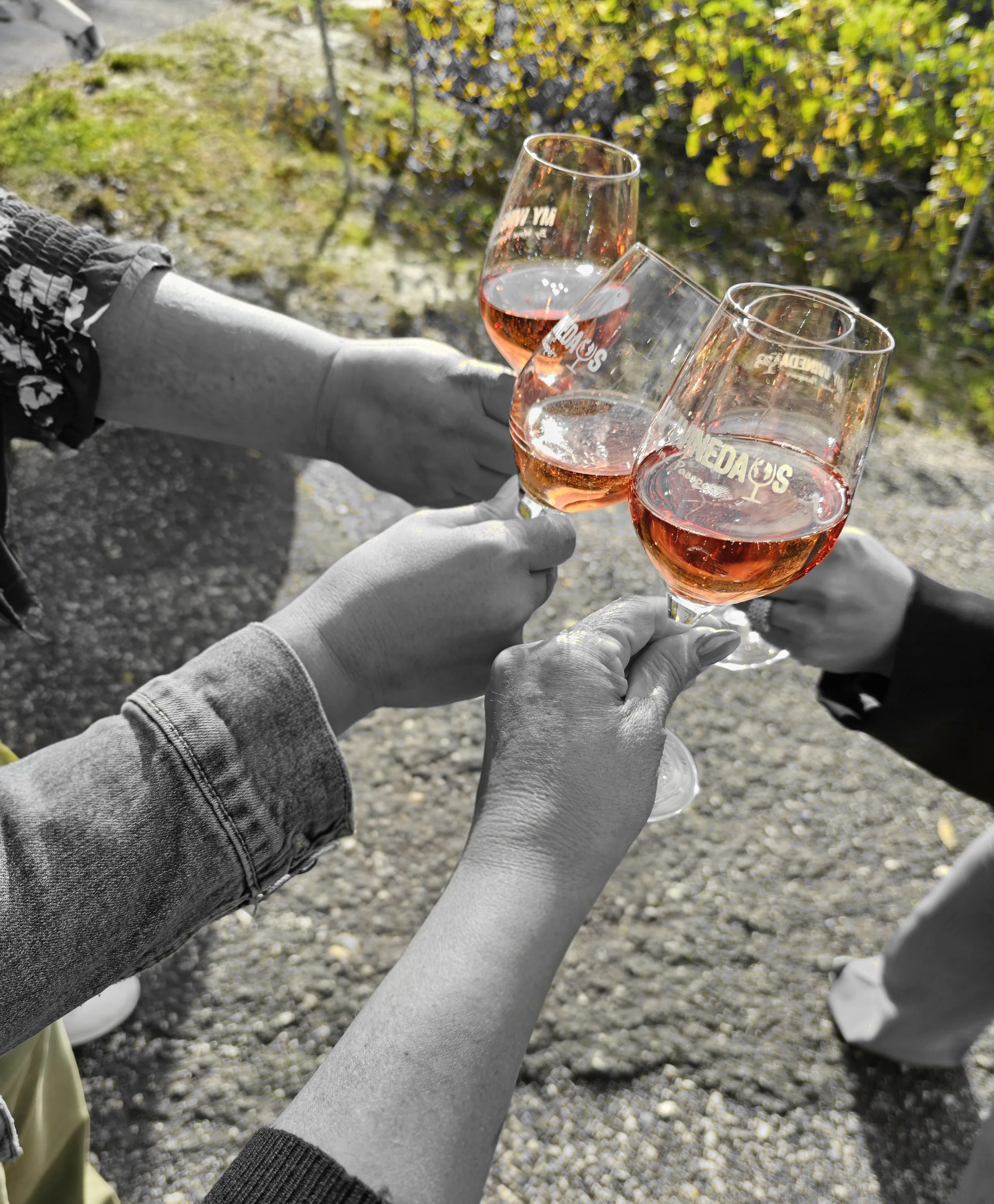 France Champagne region wine historical province sparkling white Cote des Blancs sezanne reims Marne Bordeaux alsace world hertiage site terroir Vesle house Dom Perignon veuve clicquot moet chandon mumm Nicolas feuilatte