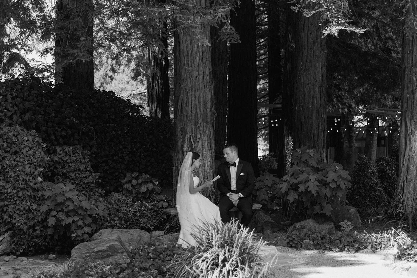 Bride and groom sitting on a bench underneath a tree and reading private wedding vows