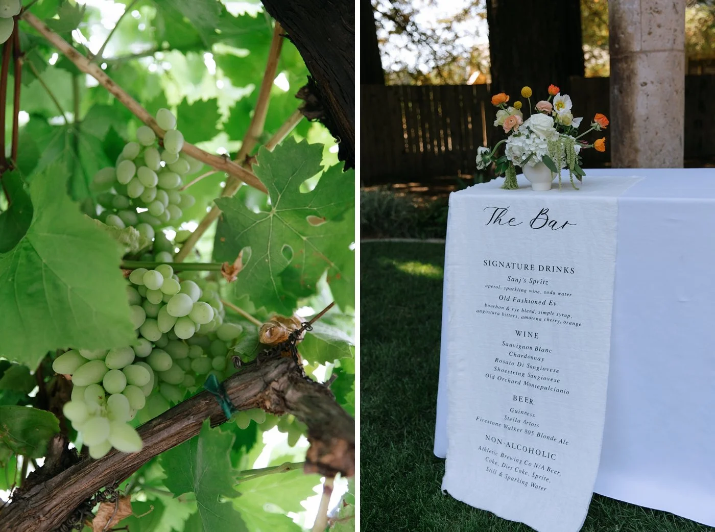 Cluster of grapes on a vine at Trentadue Winery