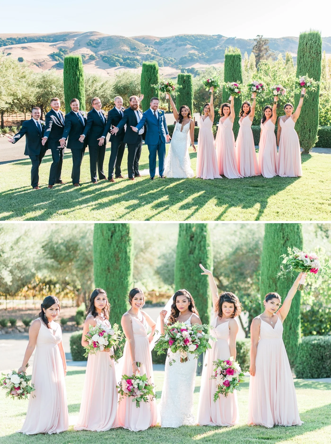Bridal party portraits at Viansa Winery