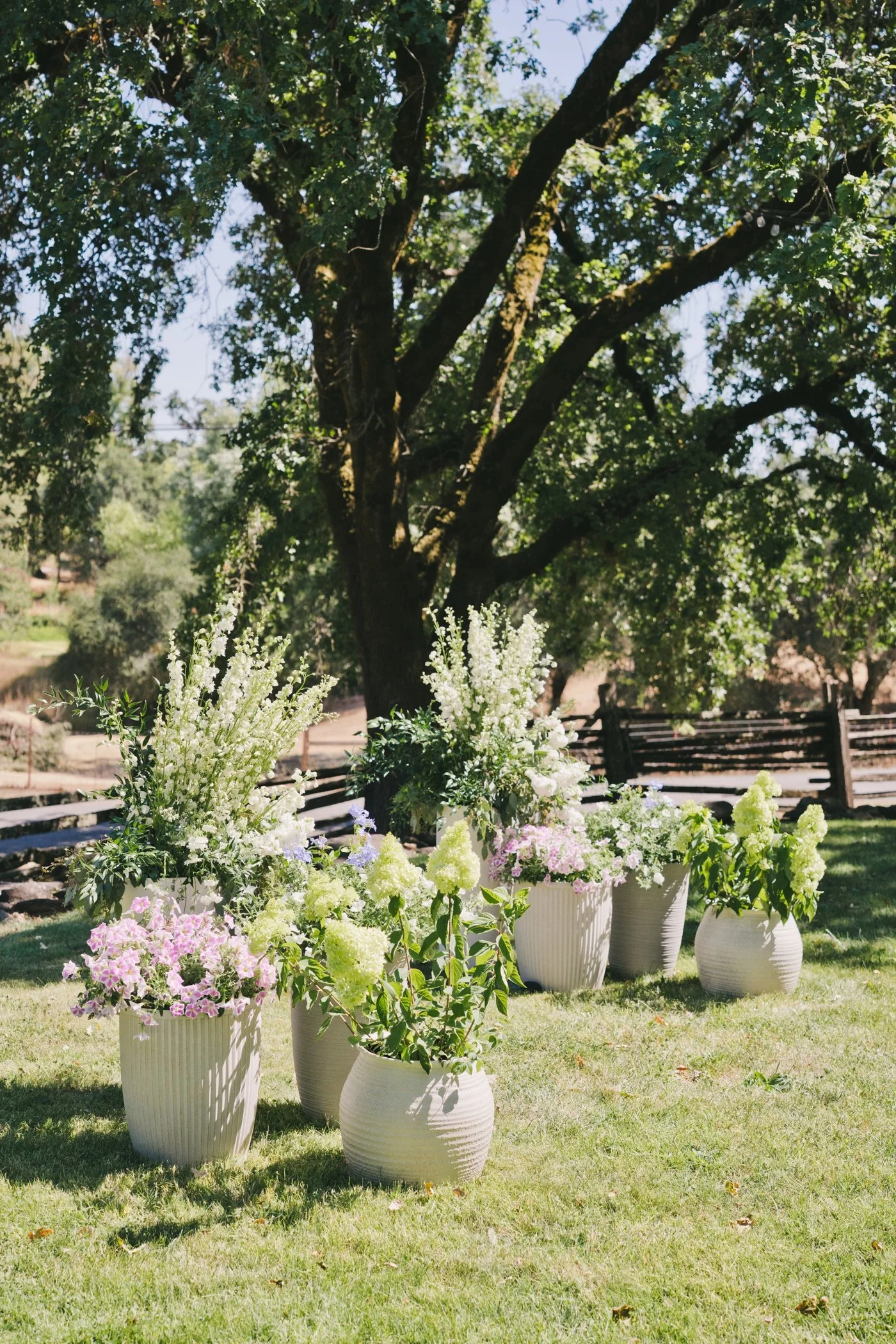 Wedding flowers by Vanda Floral Design