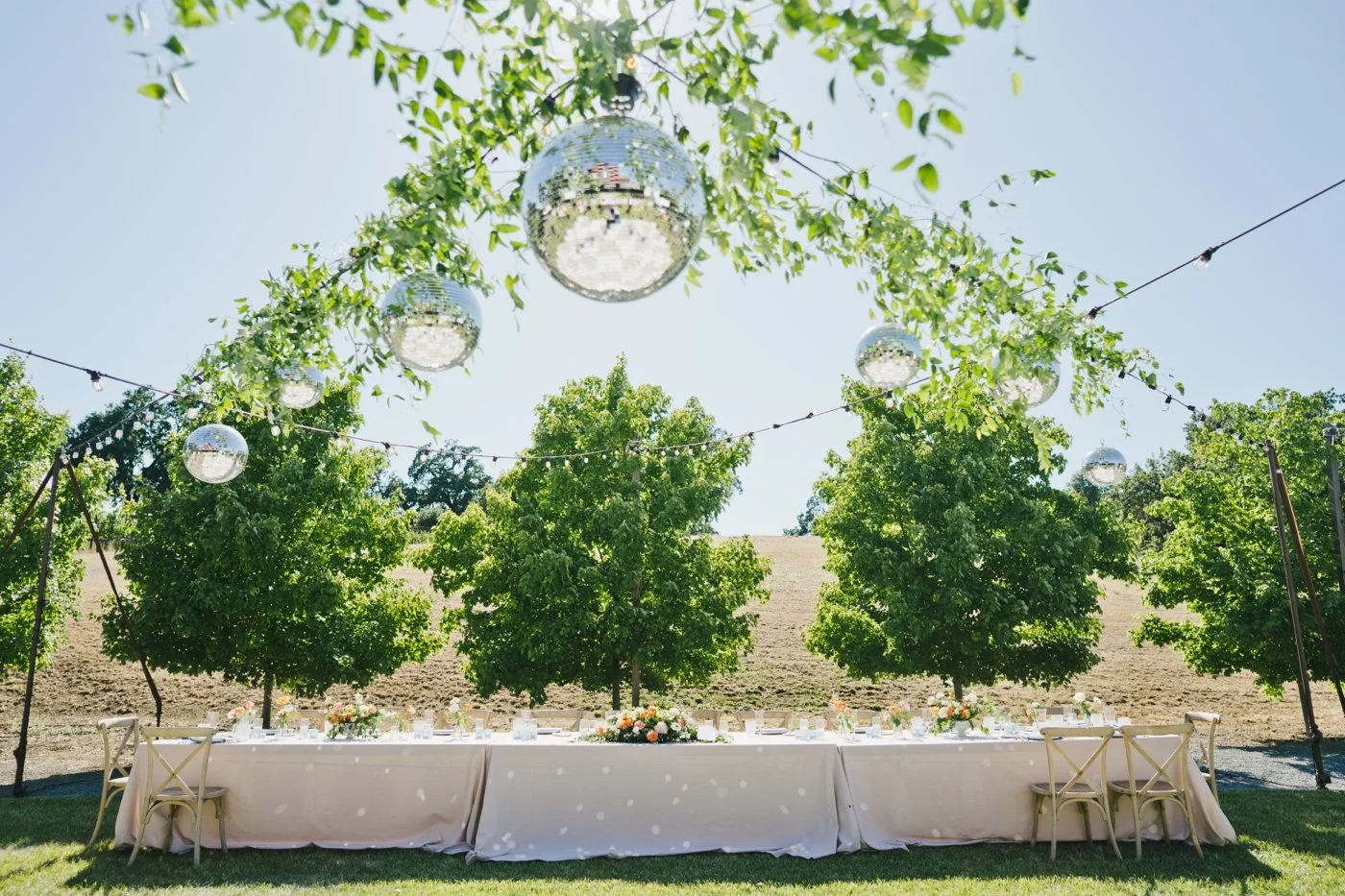 Ali DiLuvio Events - Sonoma Wedding Planner