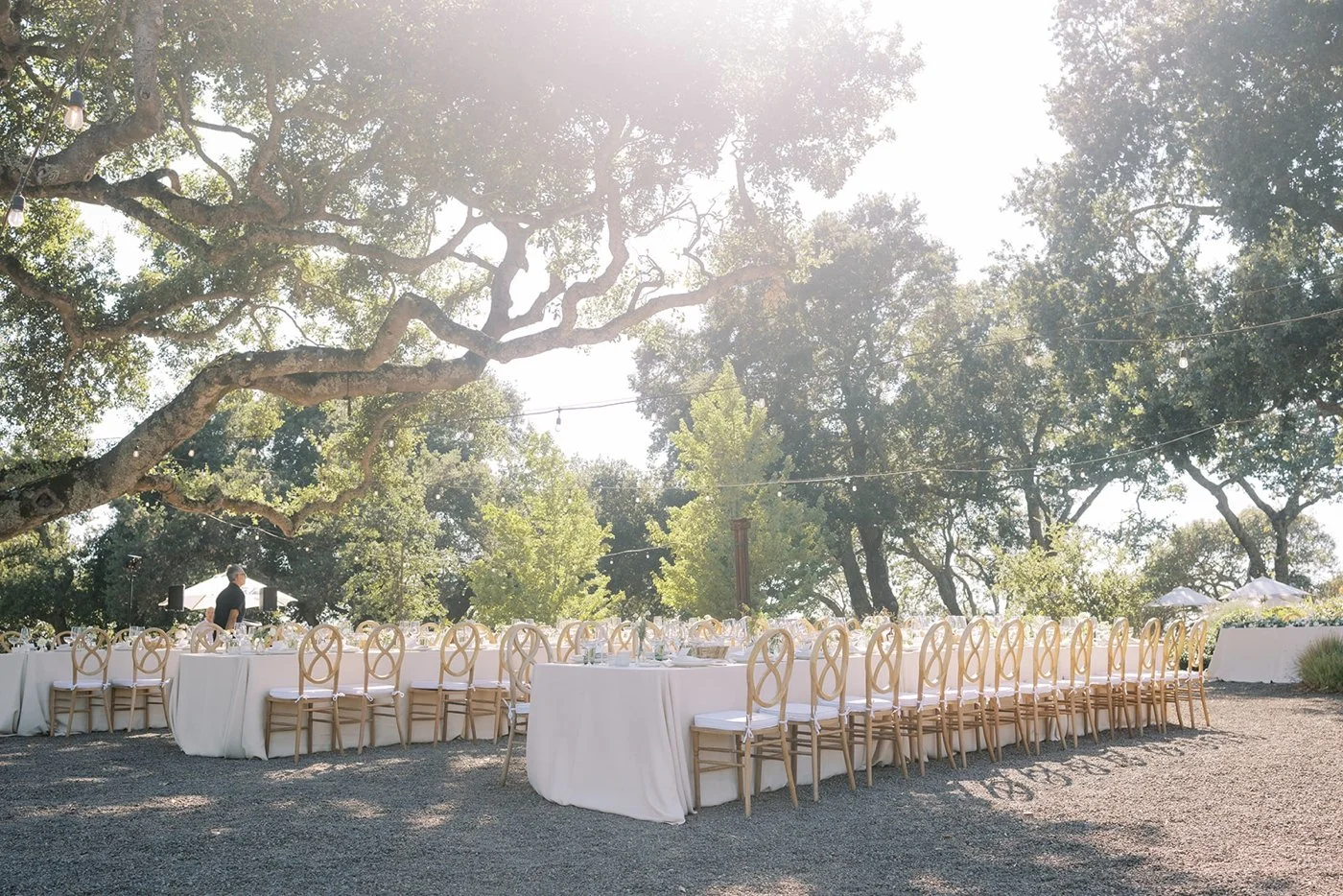 Ali DiLuvio Events - Sonoma Wedding Planner