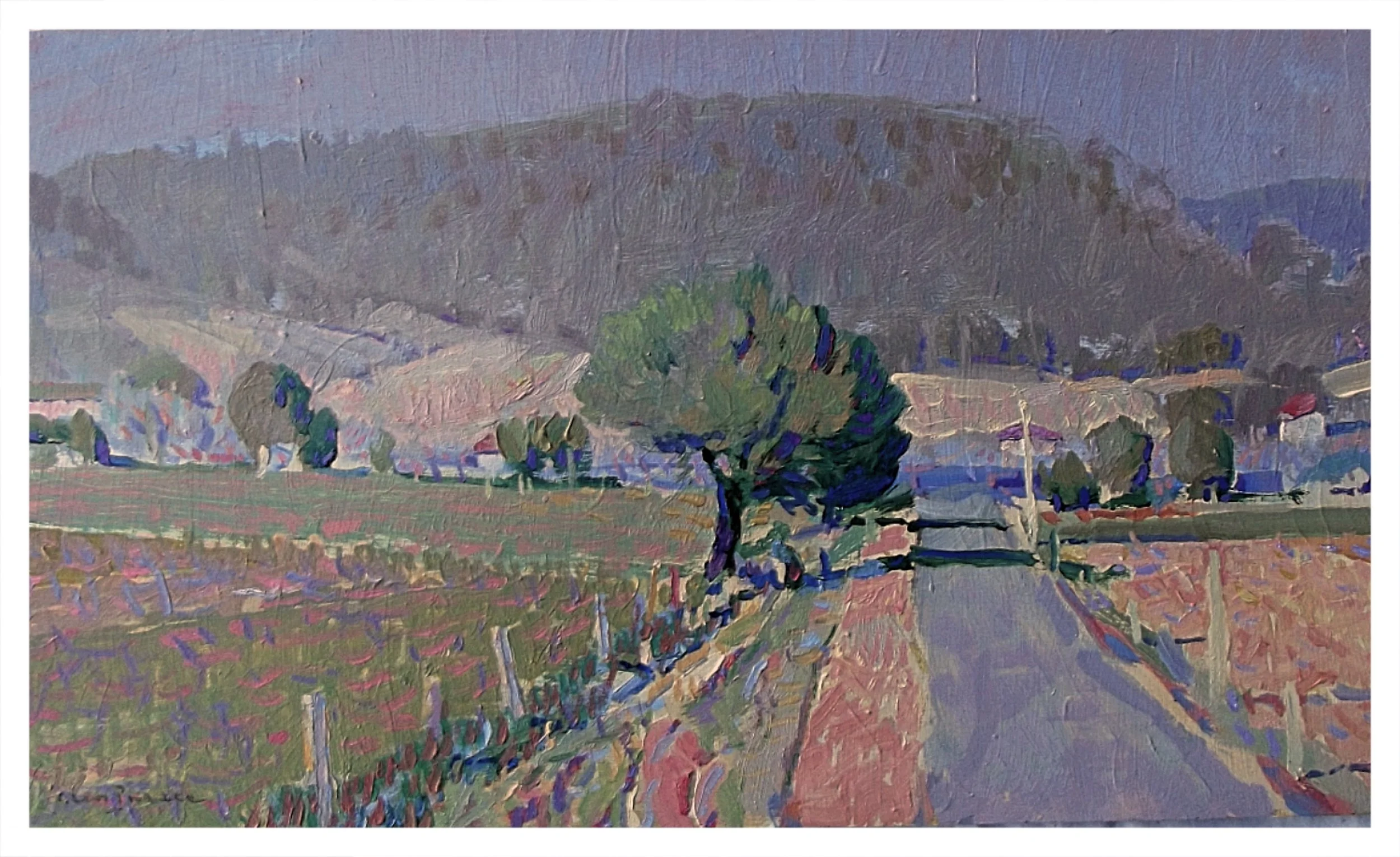 Summer - Pages Road