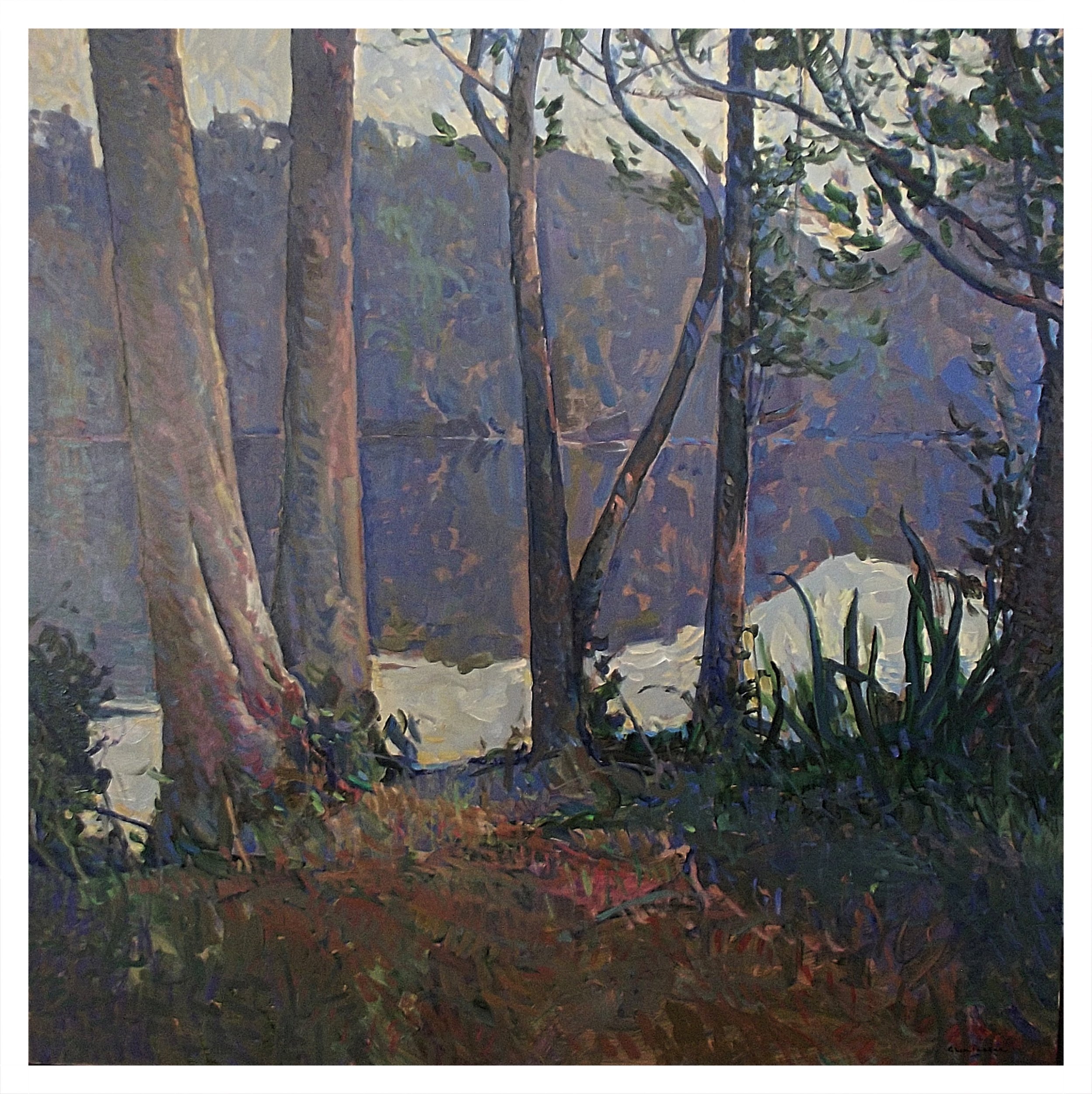 Morning - Huon River