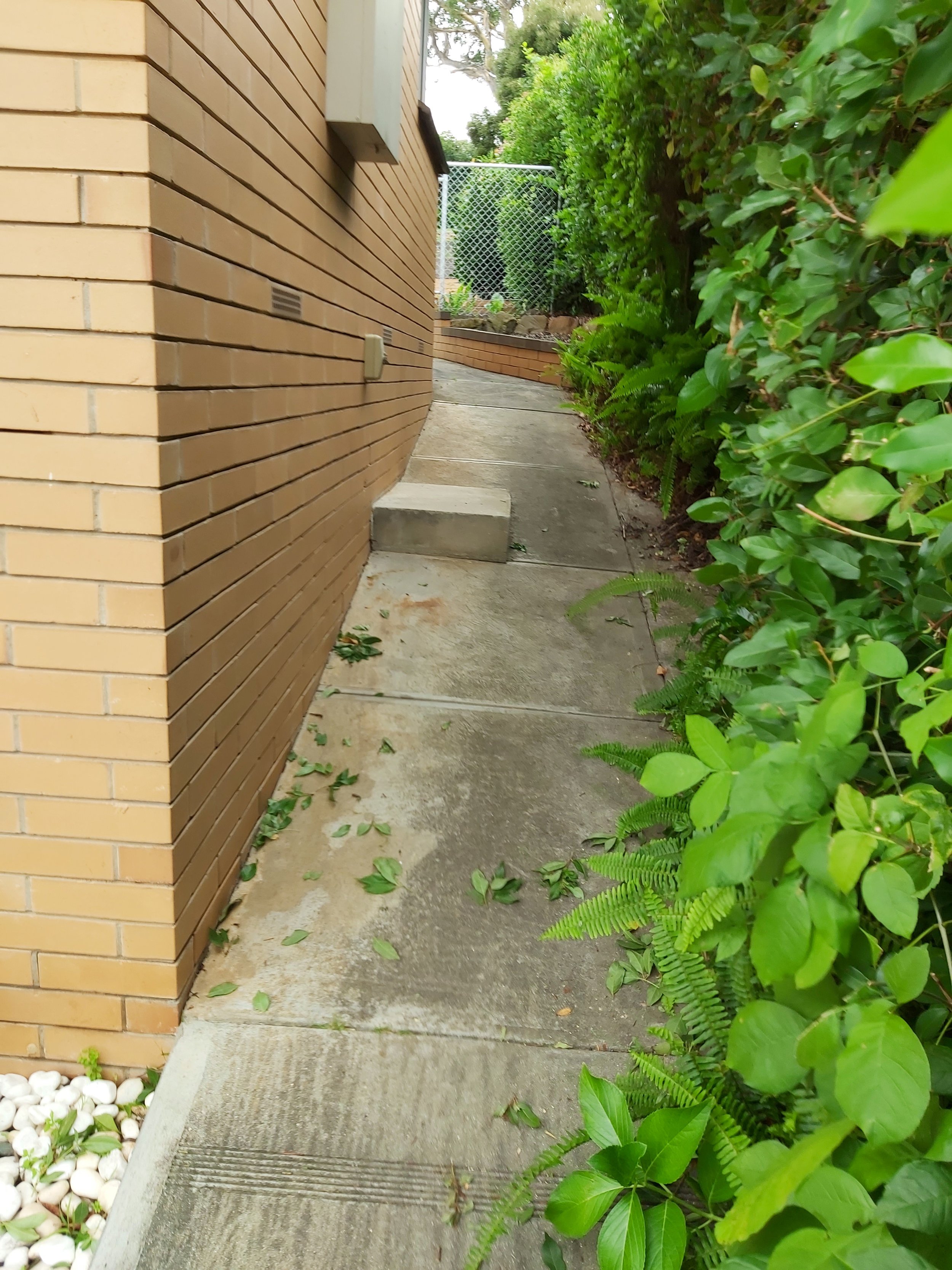 Side of house before.jpg