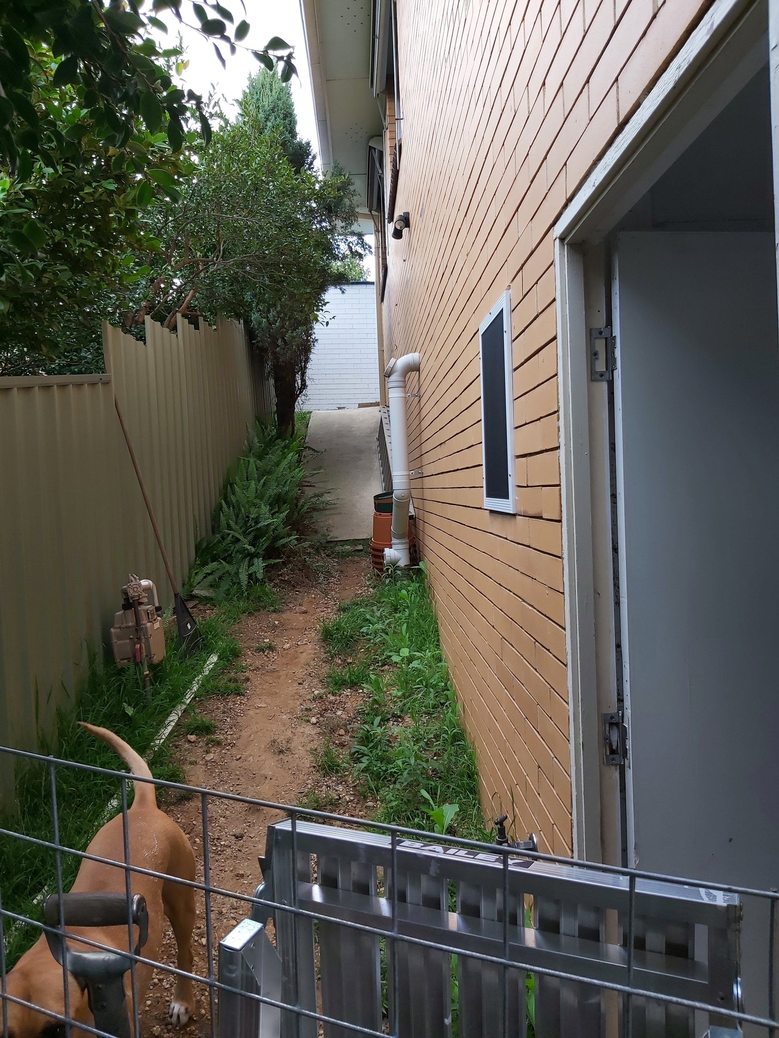 Side footpath before.jpg