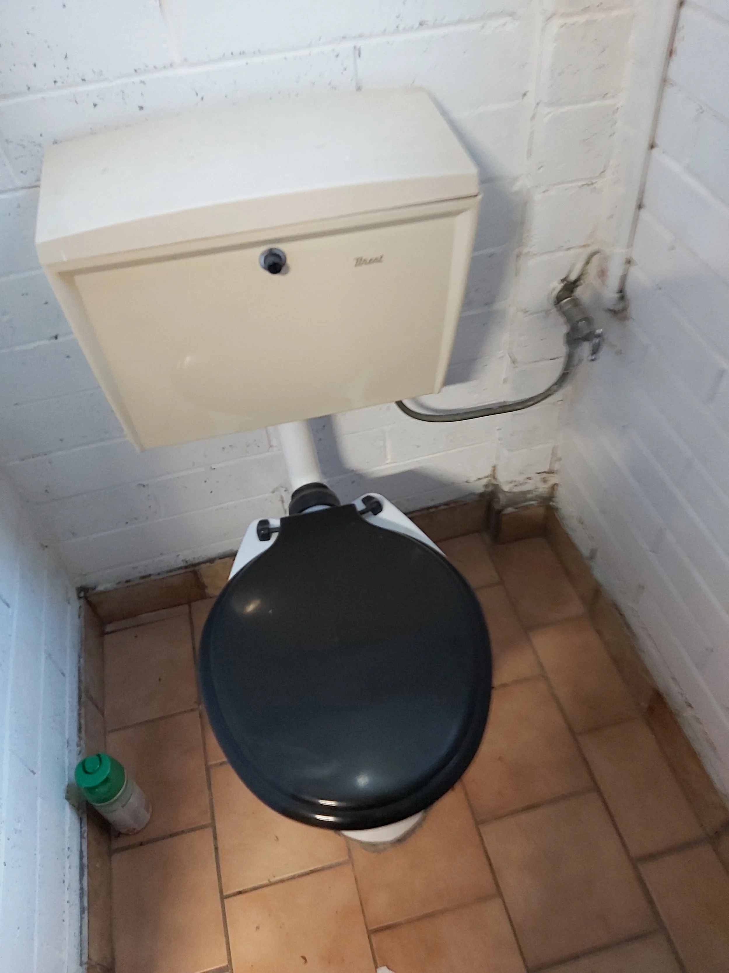 Garage toilet before.jpg