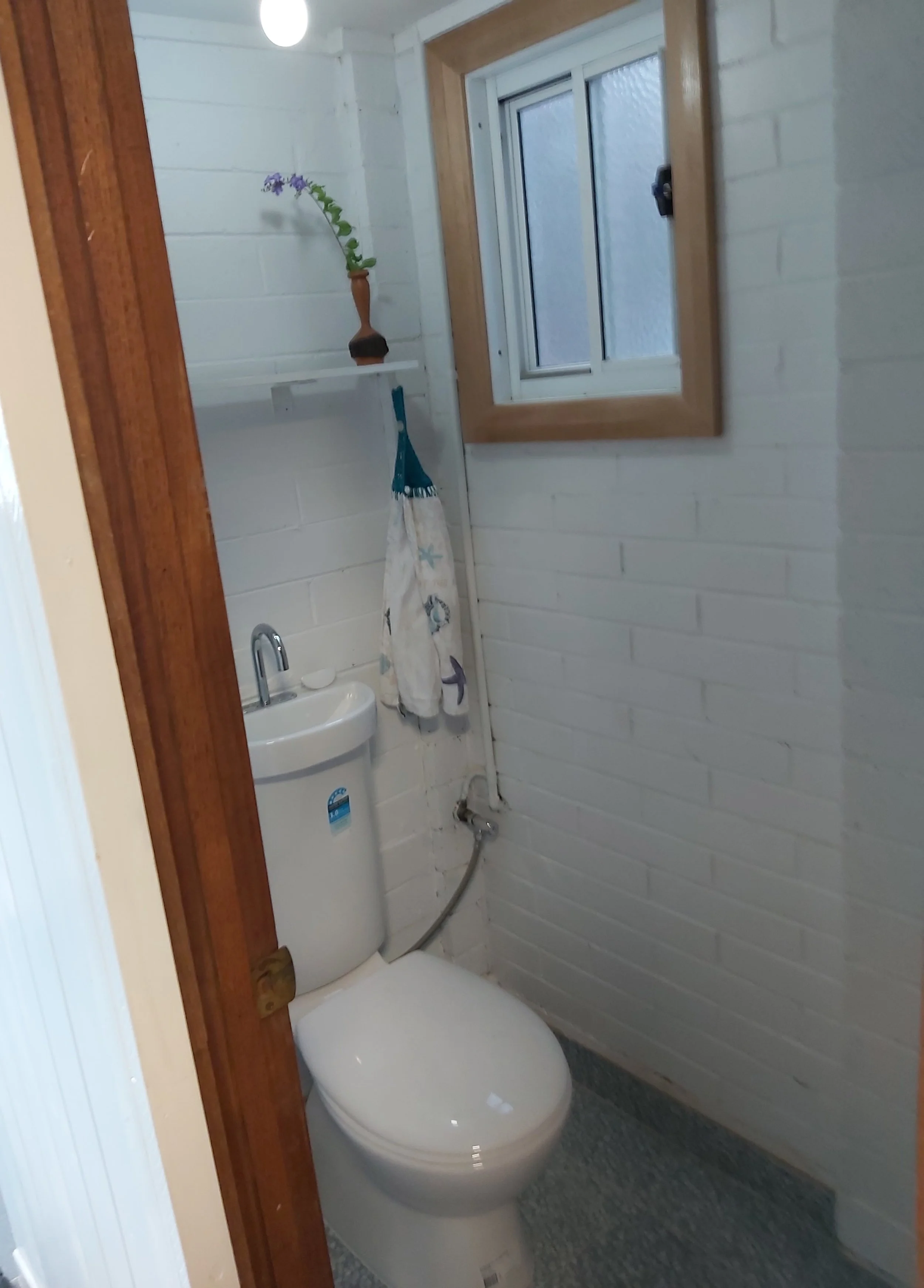 Garage toilet after.jpg