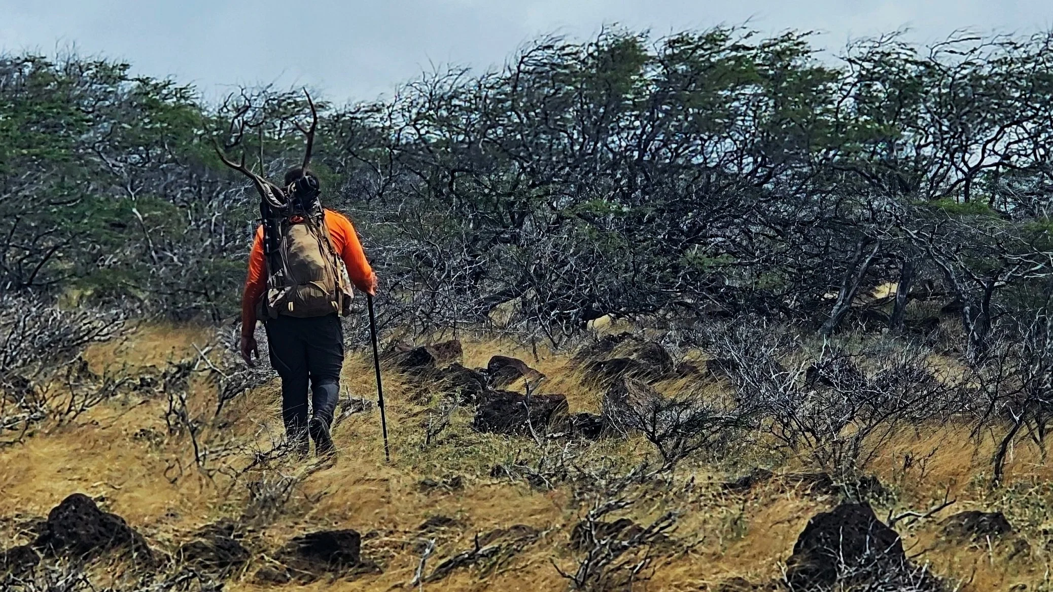 A person with a backpack and orange jacket hiking through a dry, rocky, and shrub-filled landscape.