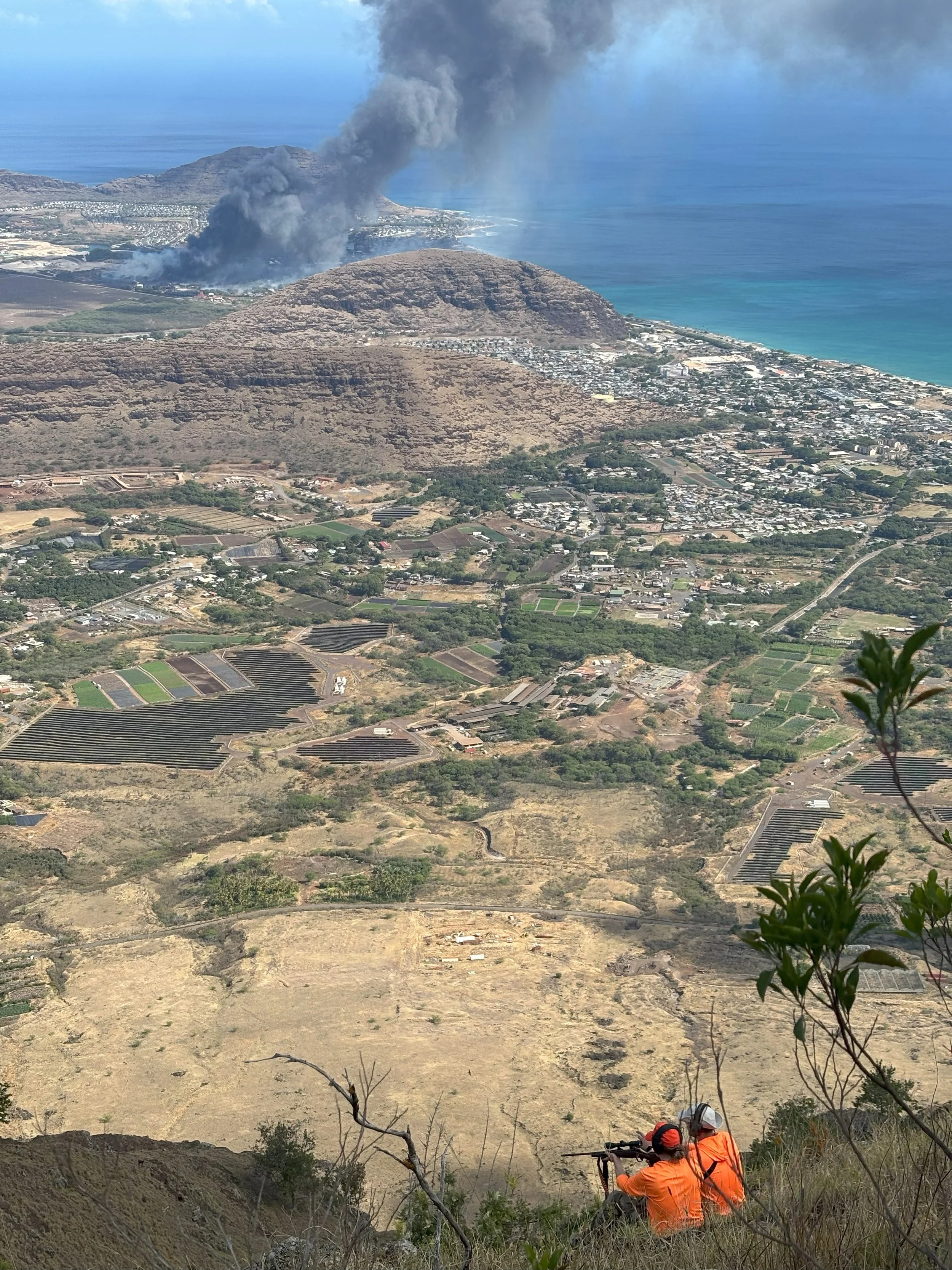 Two hunters in orange hunting gear sitting on a hill, aiming their rifles toward a wildfire burning in the distance among hills and an urban area.