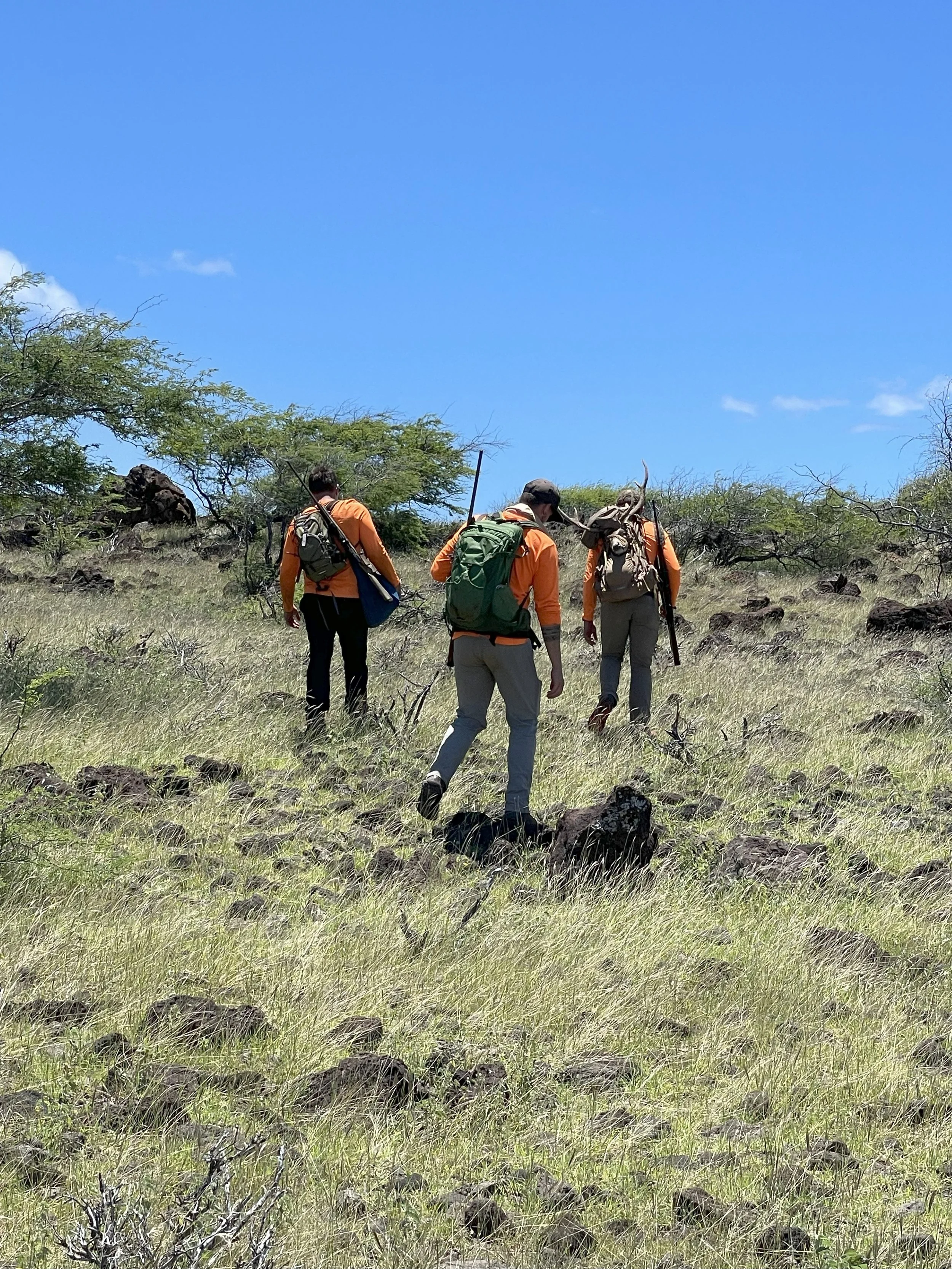 Three hikers with backpacks and walking sticks hiking through a grassy, rocky landscape under a clear blue sky.