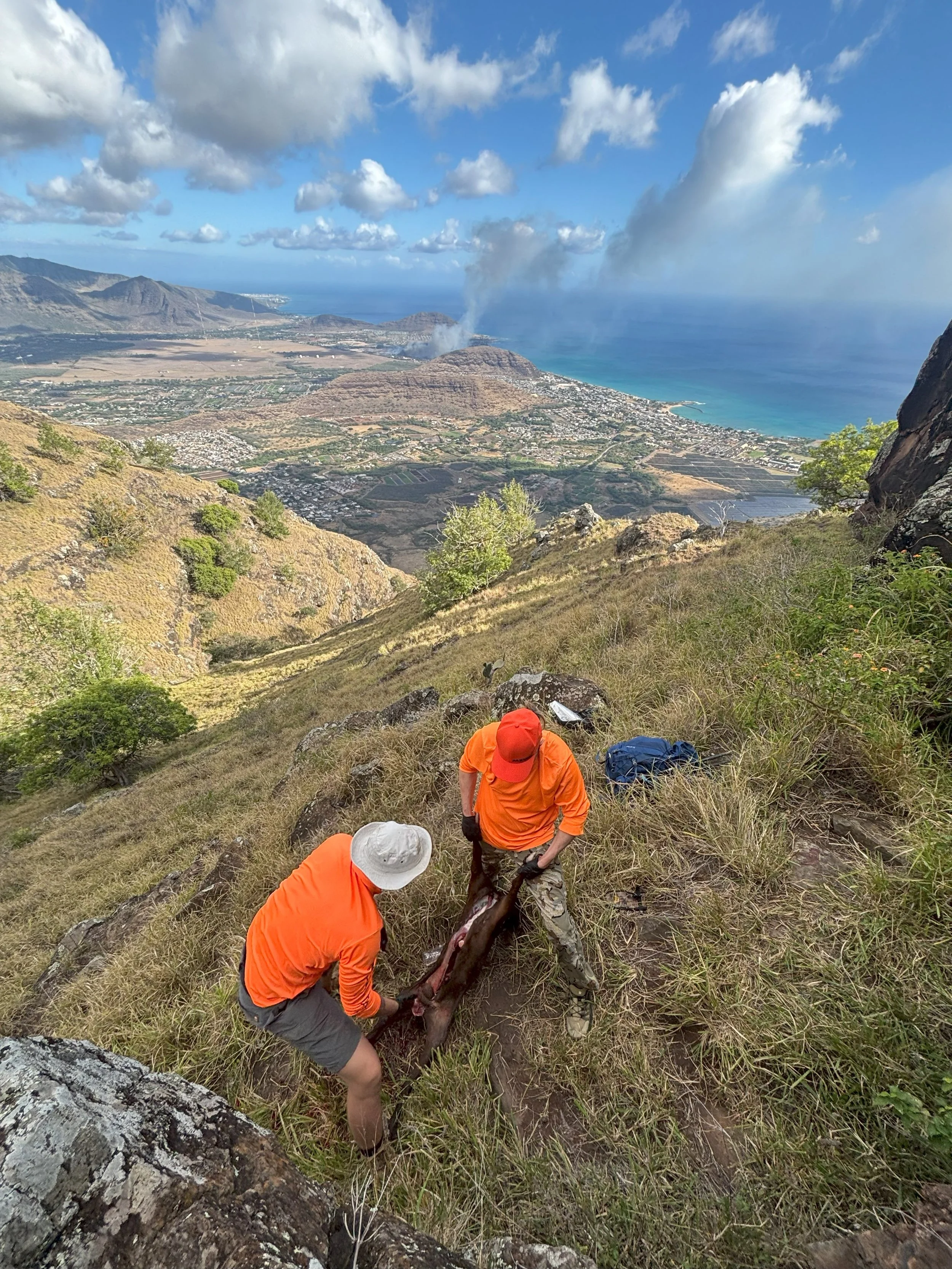 Two people in orange shirts and hats lifting a large piece of wood on a grassy hillside with a view of a town, mountains, and ocean in the background.