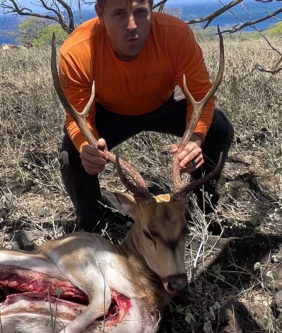 A hunter crouching on dry grass and bushes outdoors, holding a large axis deer that had recently been killed with a visible wound on its side. The man is wearing an orange long-sleeve shirt and dark pants, with a hill and ocean in the background.