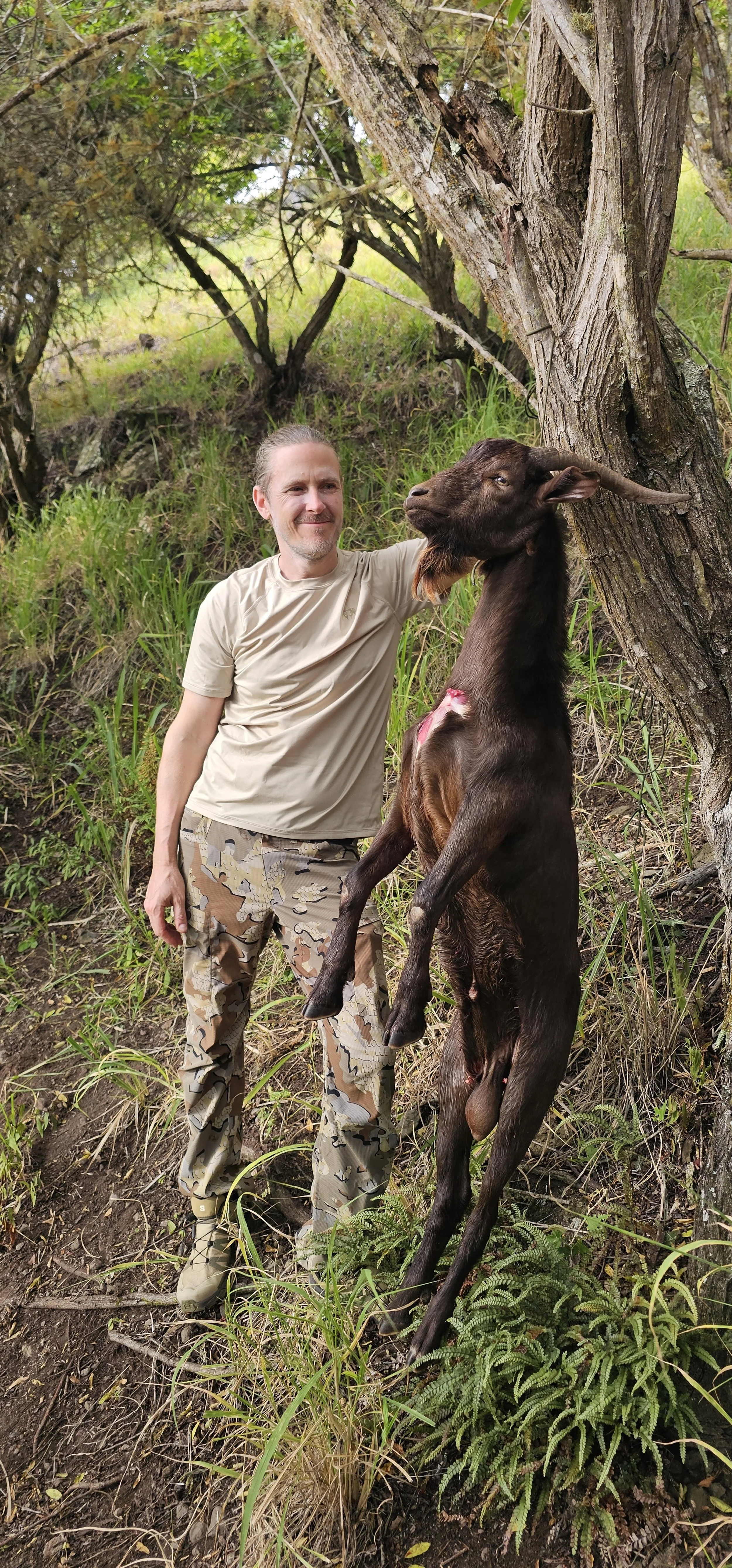 A hunter in Hawaii standing outdoors near a tree with a recently killed young goat. The man is smiling and wearing camouflage pants and a beige t-shirt. The goat is hung from tree, with a dark brown coat and small horns, in a lush, green area.