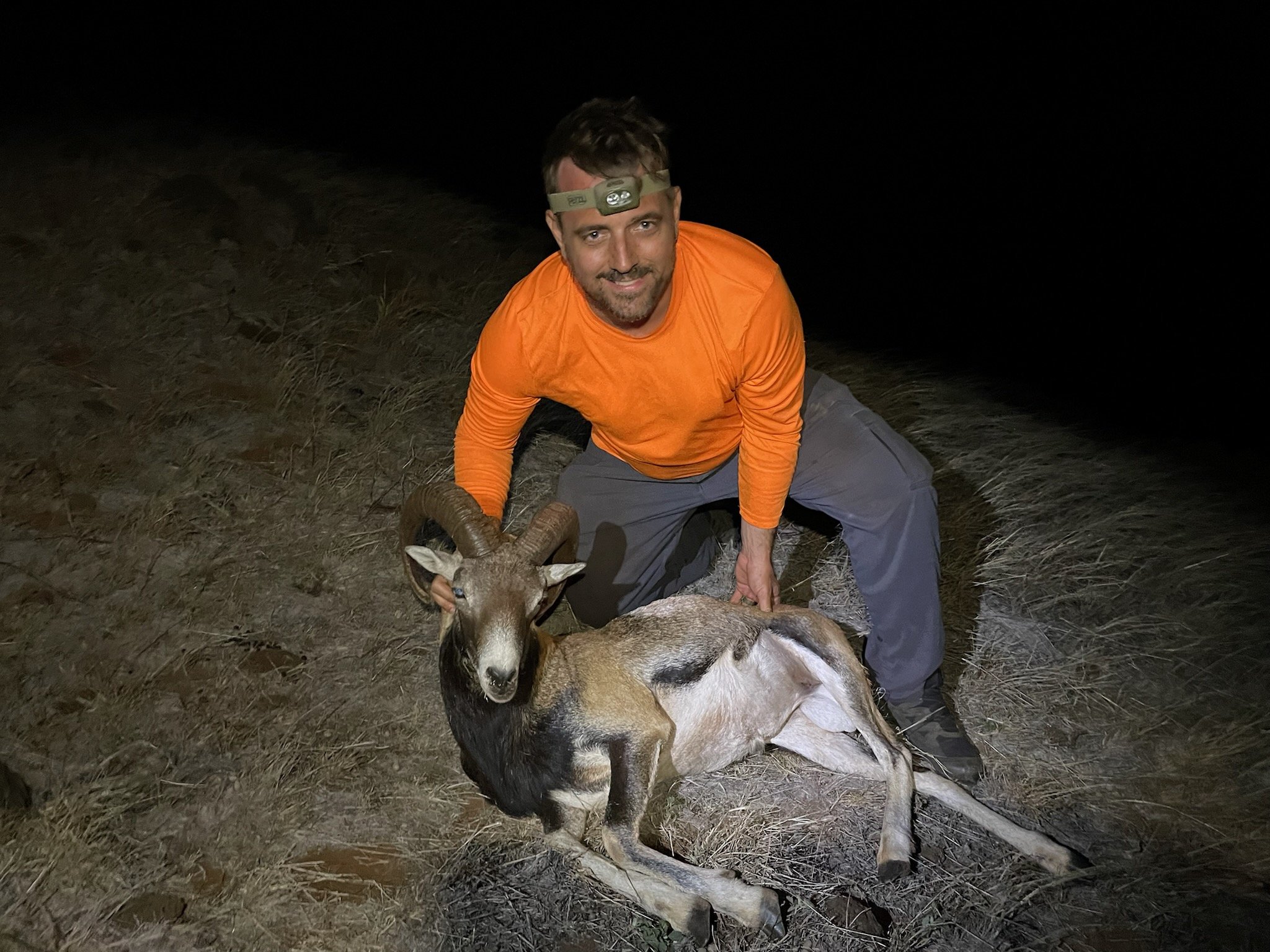 A man in an orange long sleeve shirt and gray pants kneels next to a freshly killed goat with large curved horns on a dark, dusty outdoor terrain at night.
