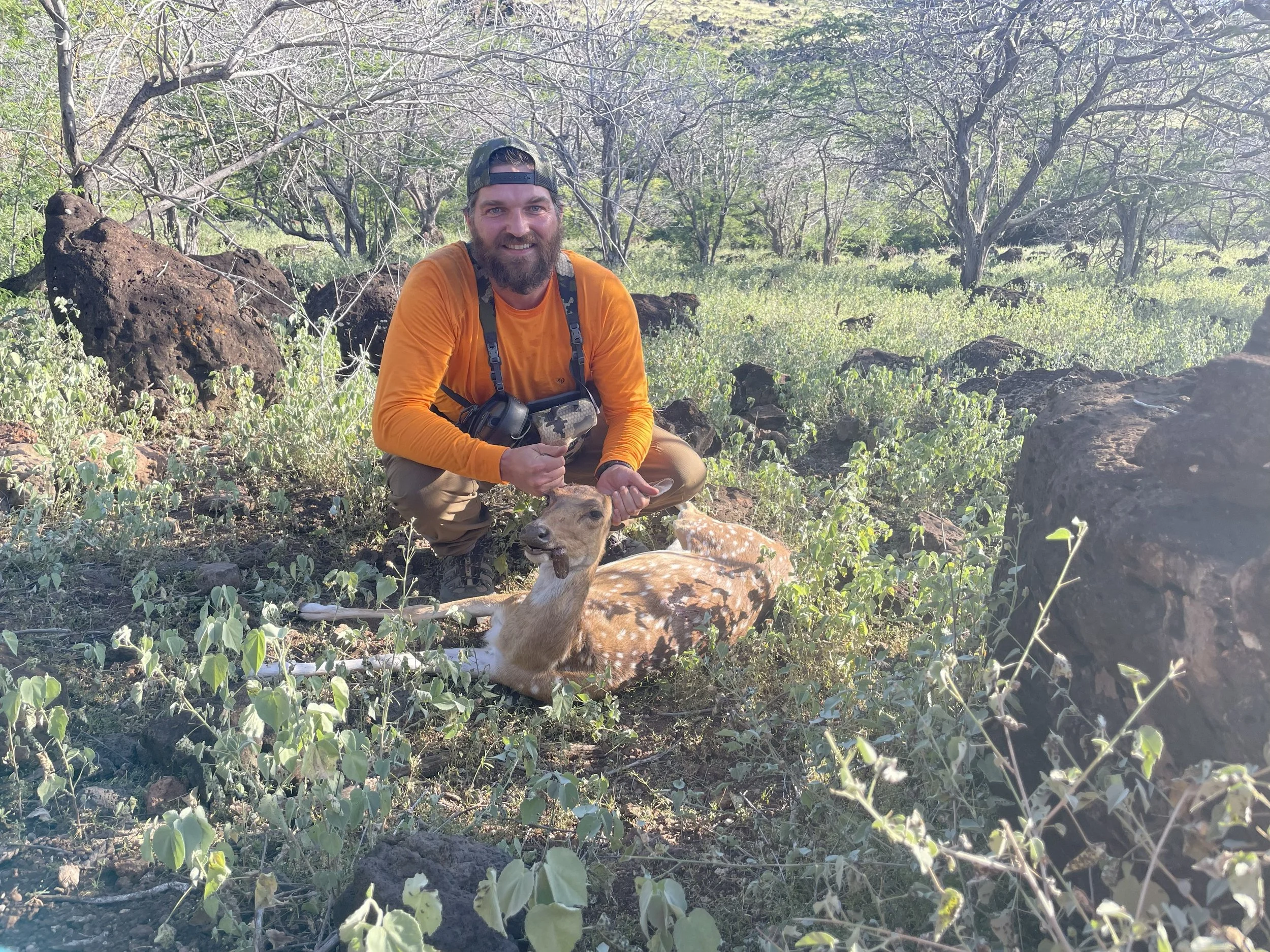 A man with a beard, wearing an orange long-sleeve shirt, a baseball cap, and a camera around his neck, is crouched next to a young deer lying on the ground in a forested area with trees and rocks.