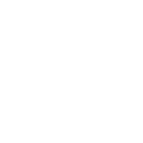 Blank white background with no objects or features