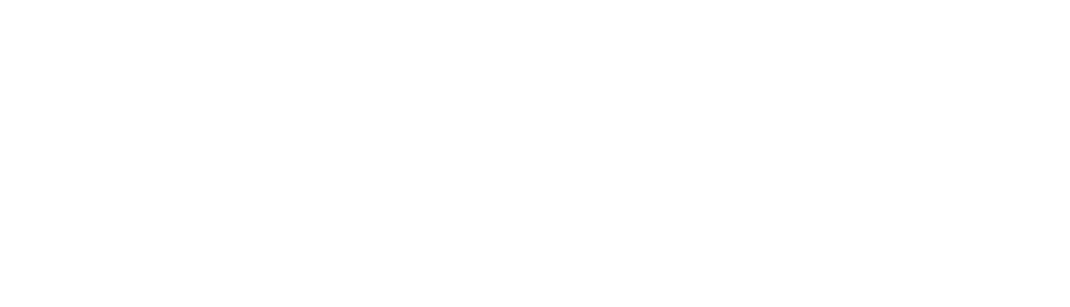 Anna Wellman