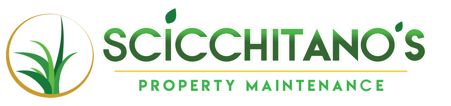 Scicchitano's Property Maintenance