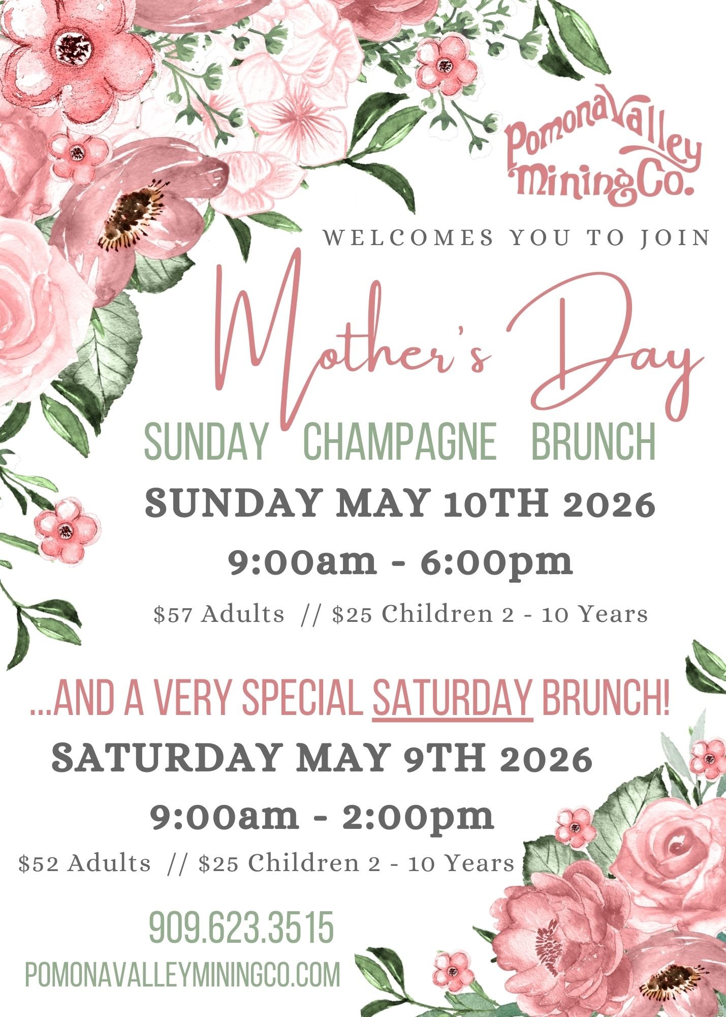 Mother's Day brunch graphic flyer