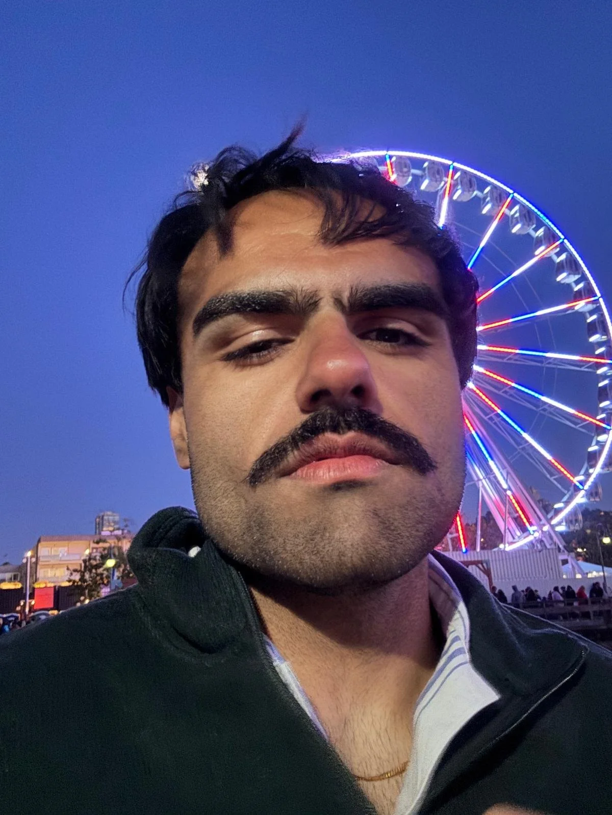 A young man with dark hair, thick eyebrows, and a mustache taking a selfie with a Ferris wheel illuminated by colorful lights in the background during the evening.