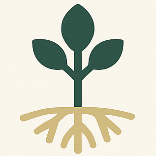 Minimalist illustration of a plant with three leaves and a visible root system. The focus on the roots links to embed.