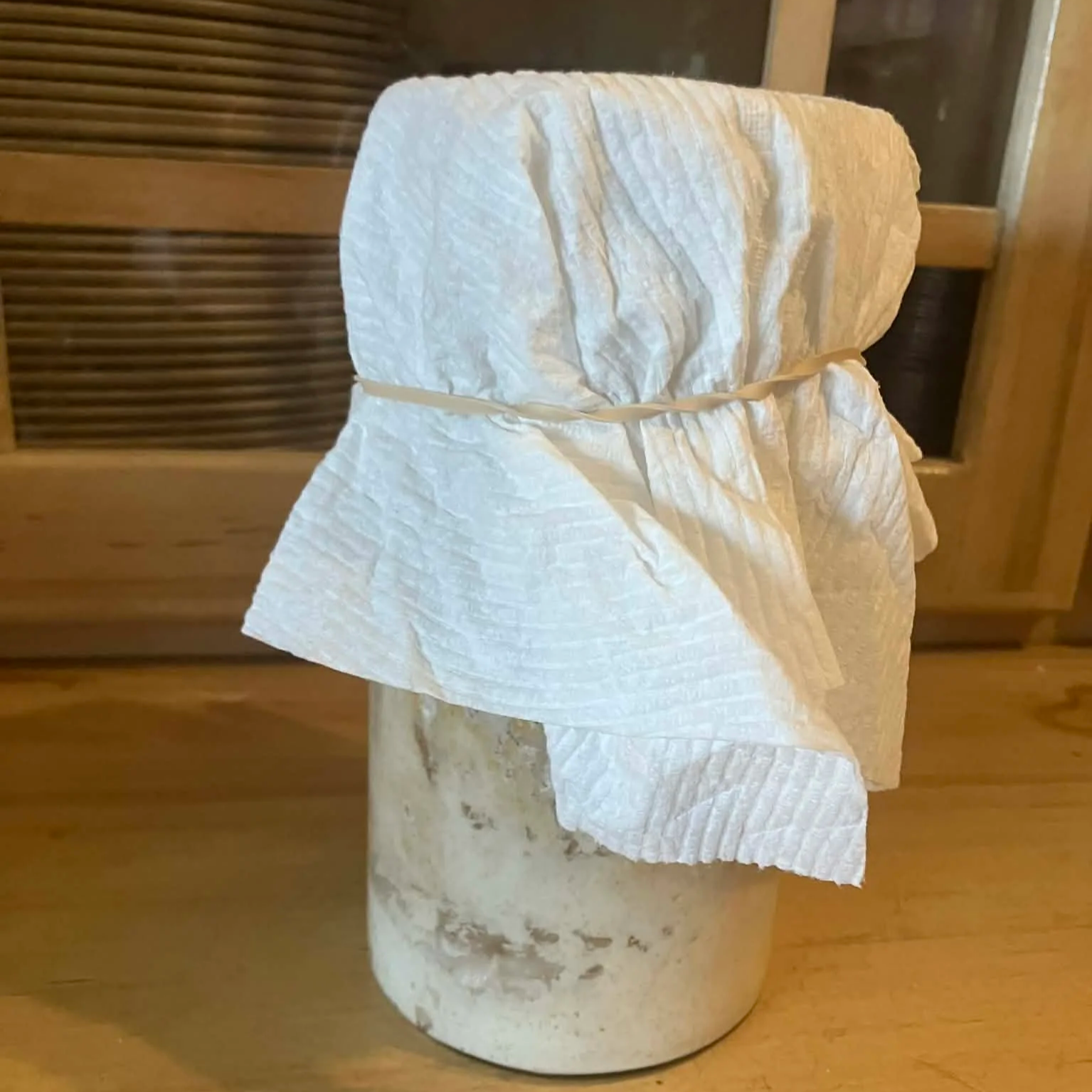 Sour dough restart week 3