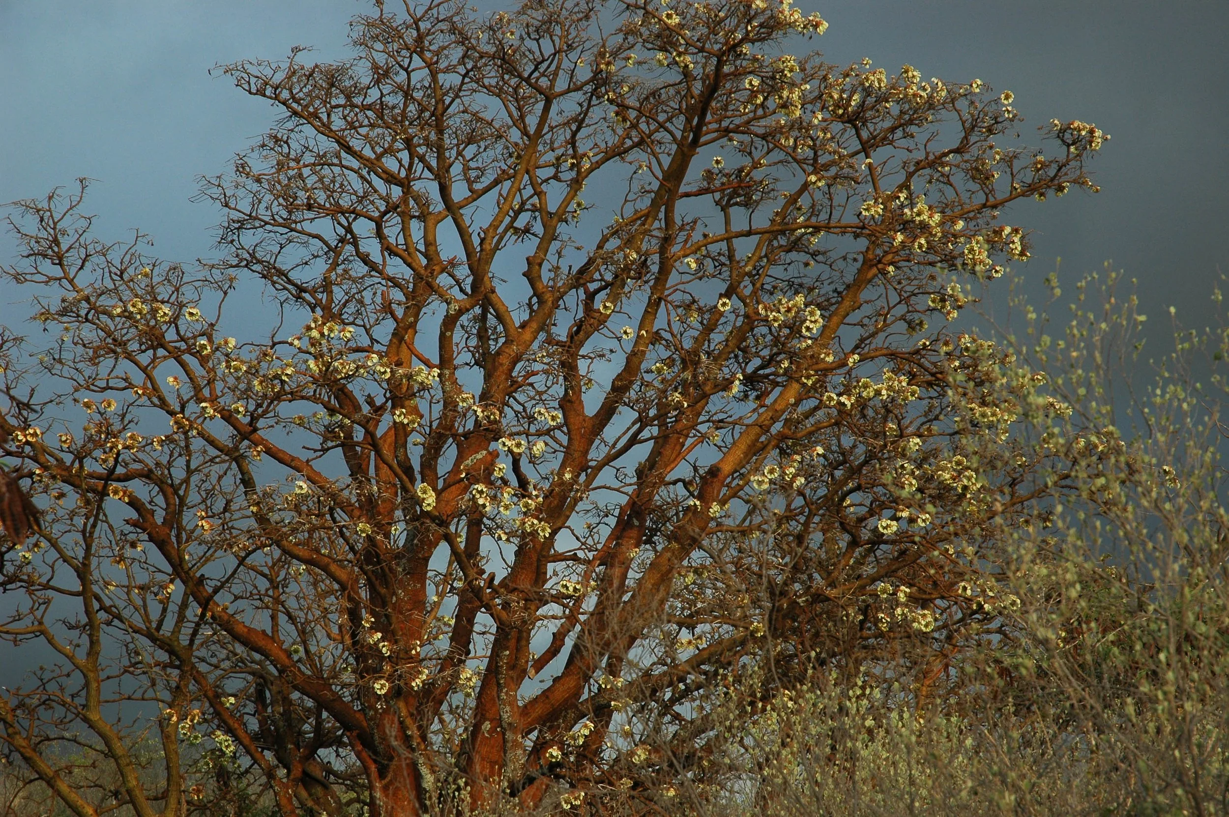 DSC_0305.jpg