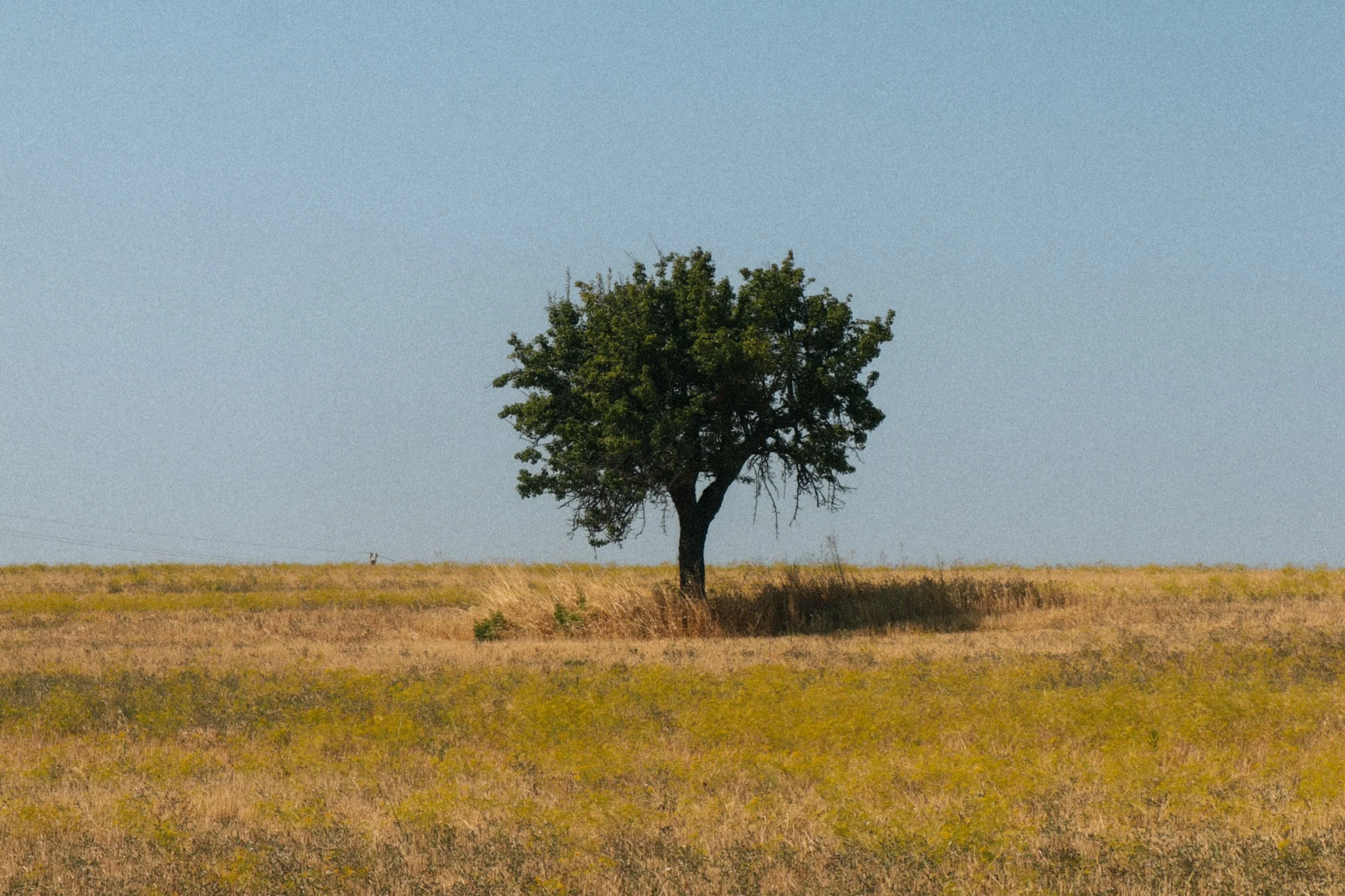 IMG_2761.png