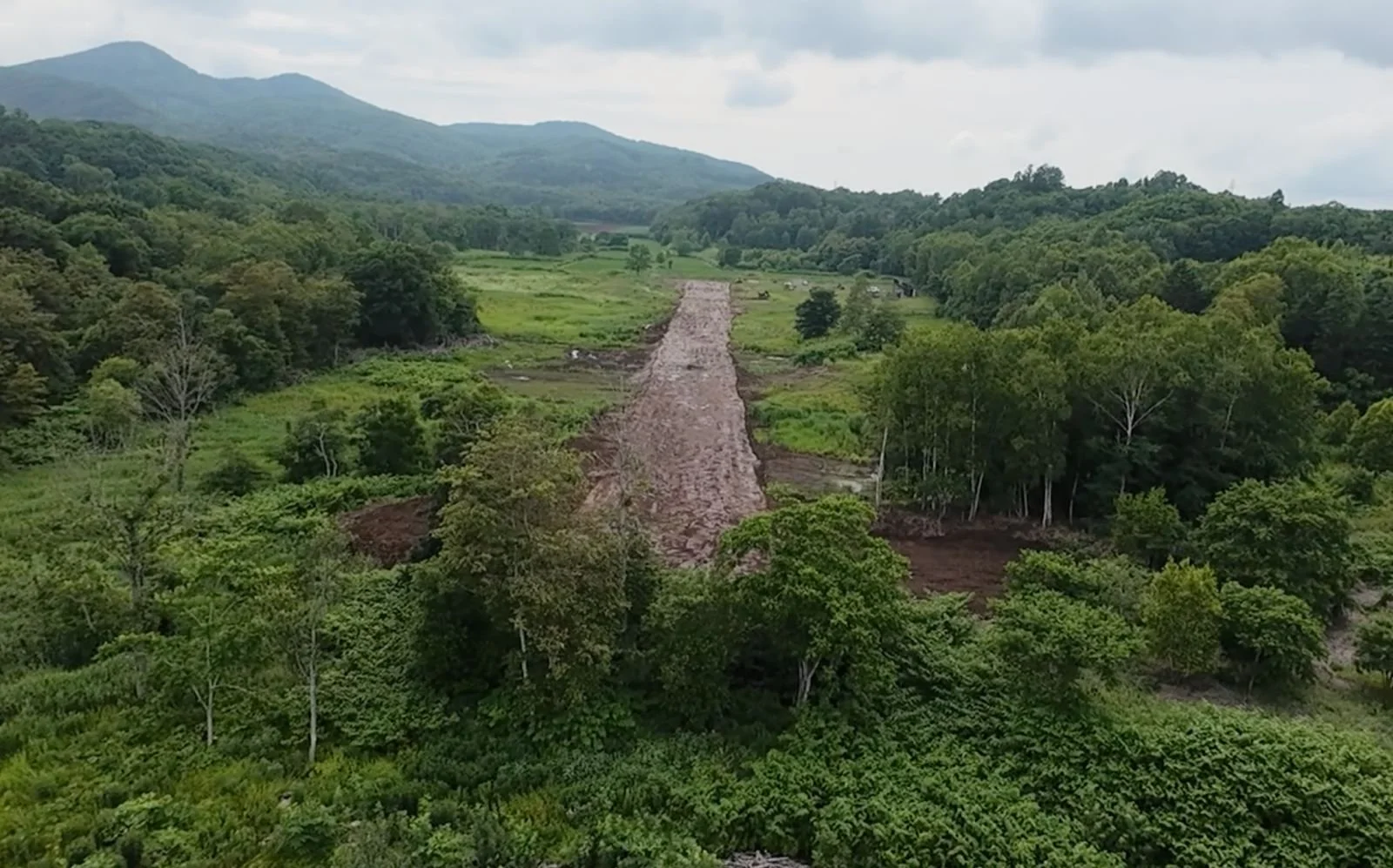 WhatsApp Image 2025-07-12 at 04.48.59.jpeg