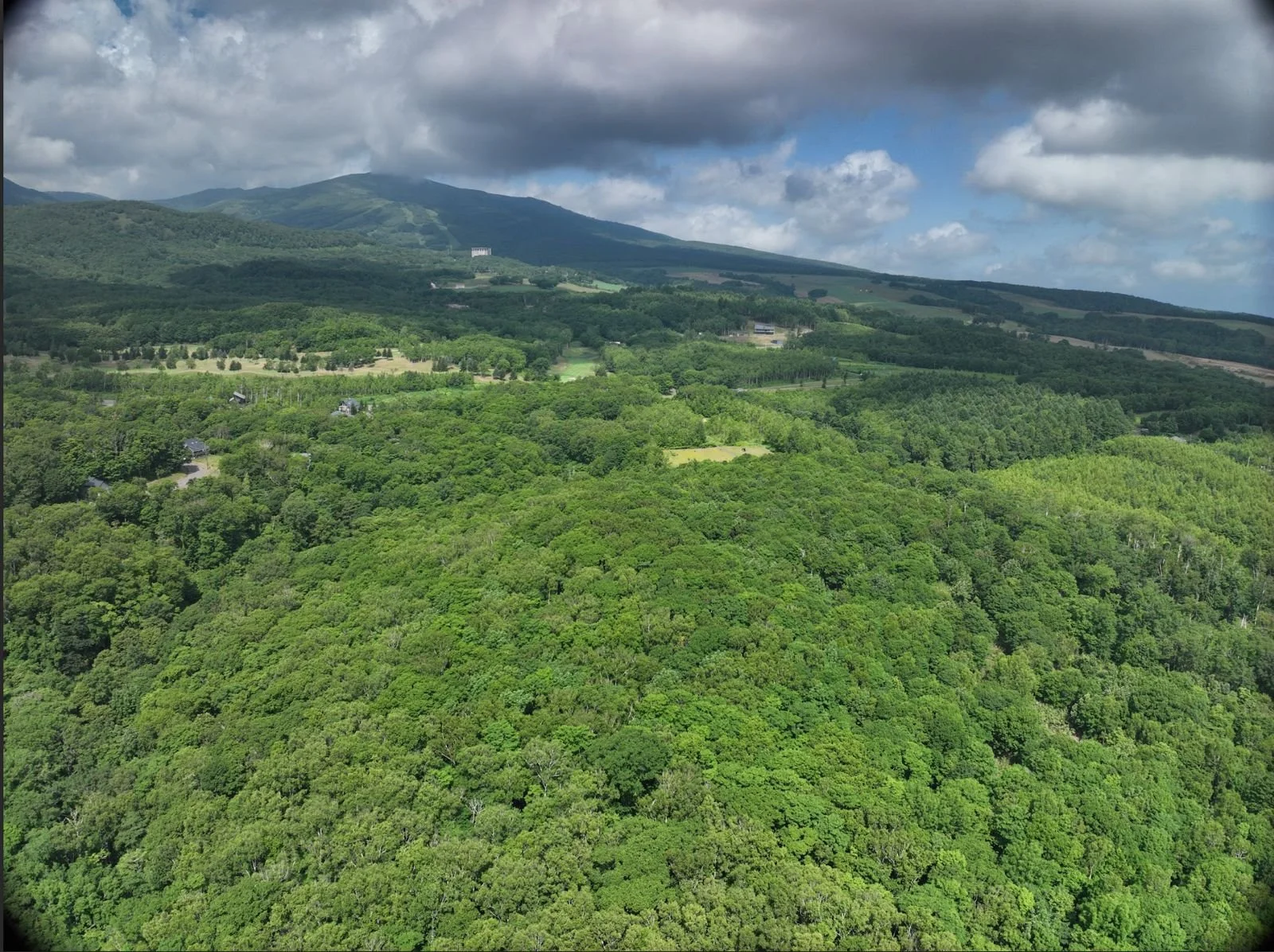 WhatsApp Image 2025-07-12 at 04.18.18.jpeg