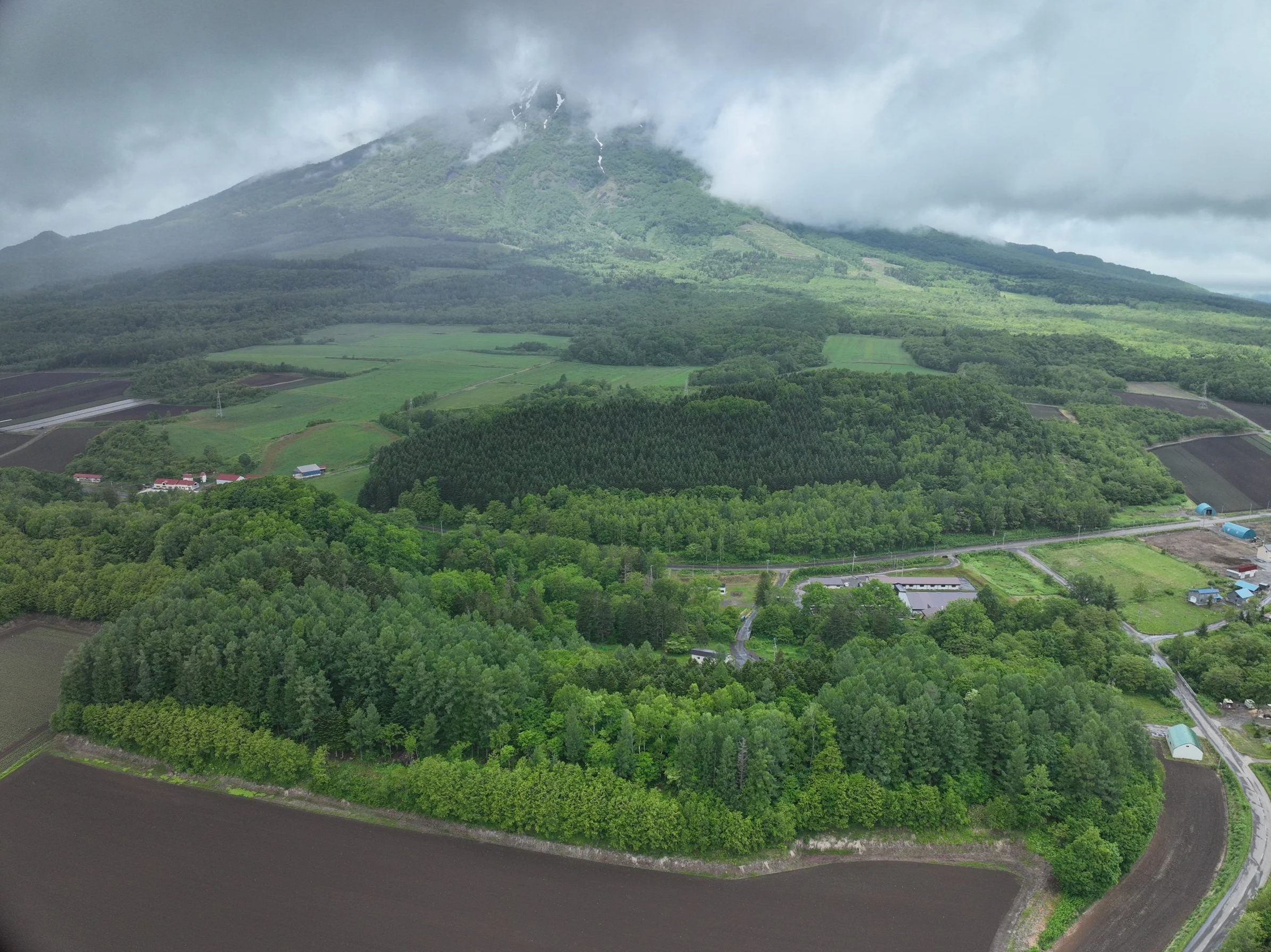 A lush green hill with patches of forest, farmland, and a few small buildings, under cloudy sky with low hanging clouds.
