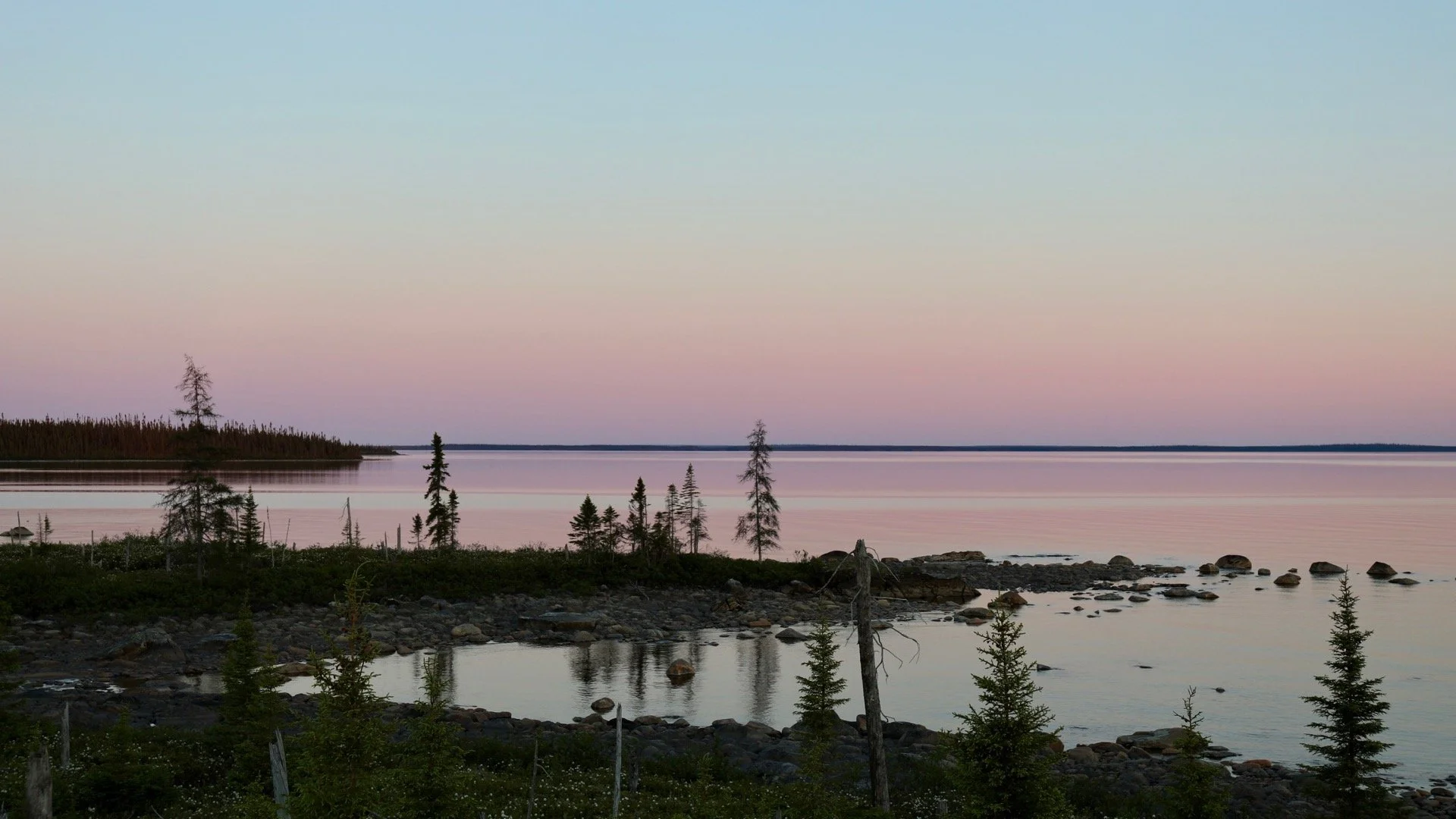Picture5.jpg