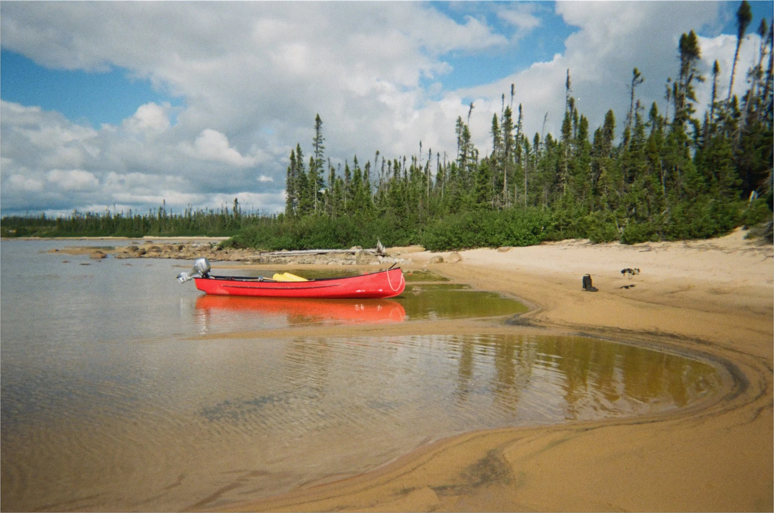 Picture1-6.jpg