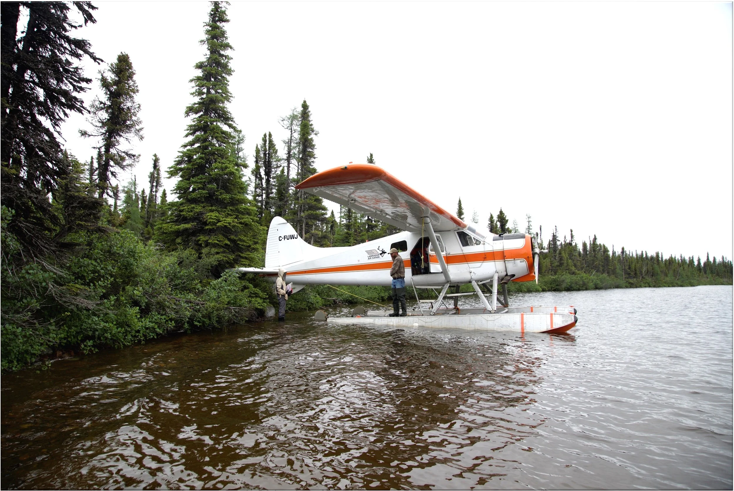 Picture1-5.jpg