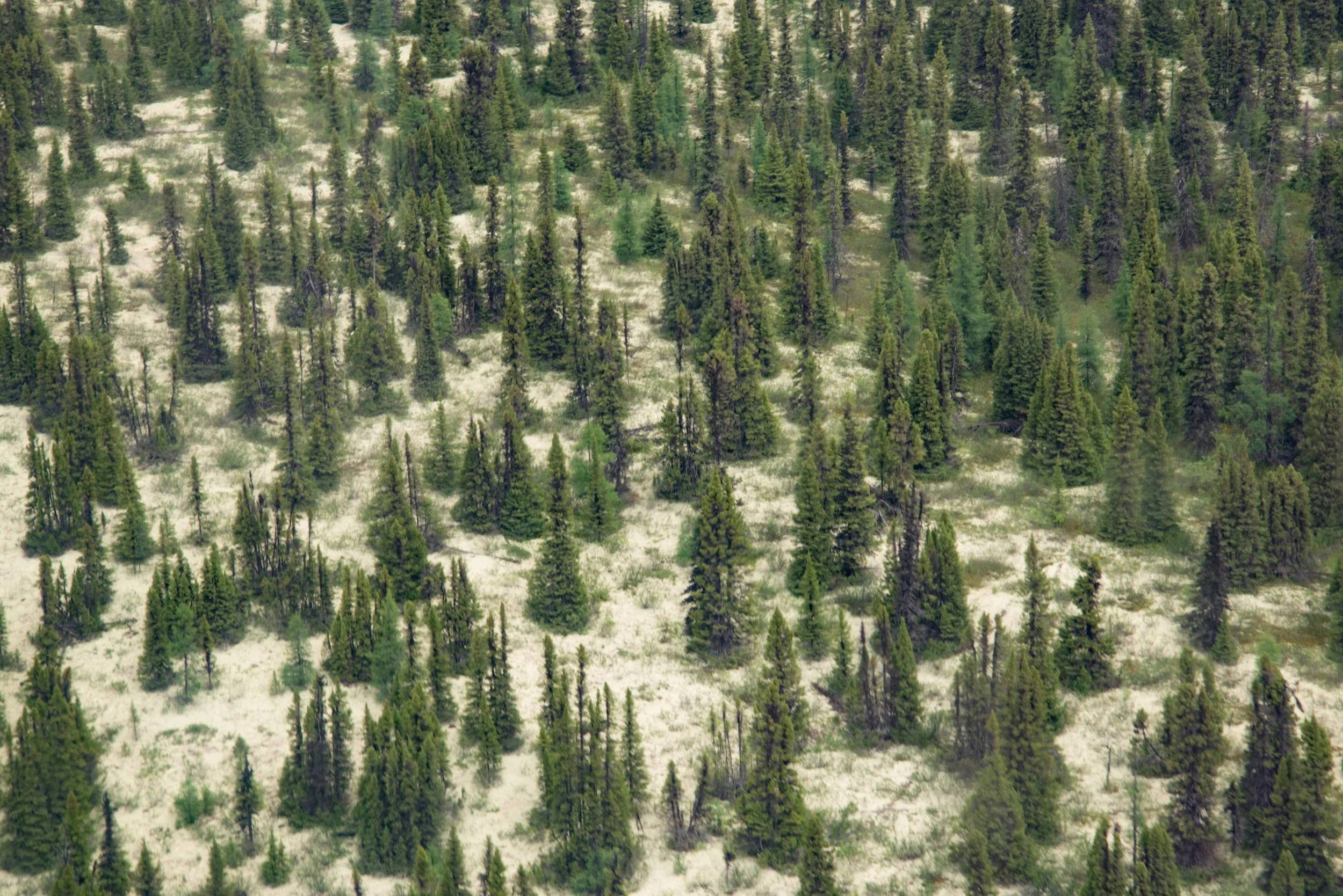 MWH_9463.jpg