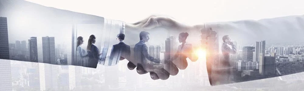 A diverse group of eight people seated around a round table, engaged in discussion and reviewing documents, with a small potted plant in the center.