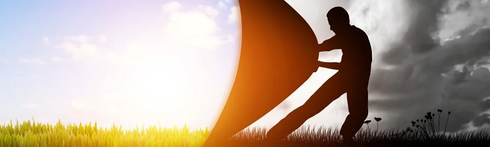 A diverse group of eight people seated around a round table, engaged in discussion and reviewing documents, with a small potted plant in the center.