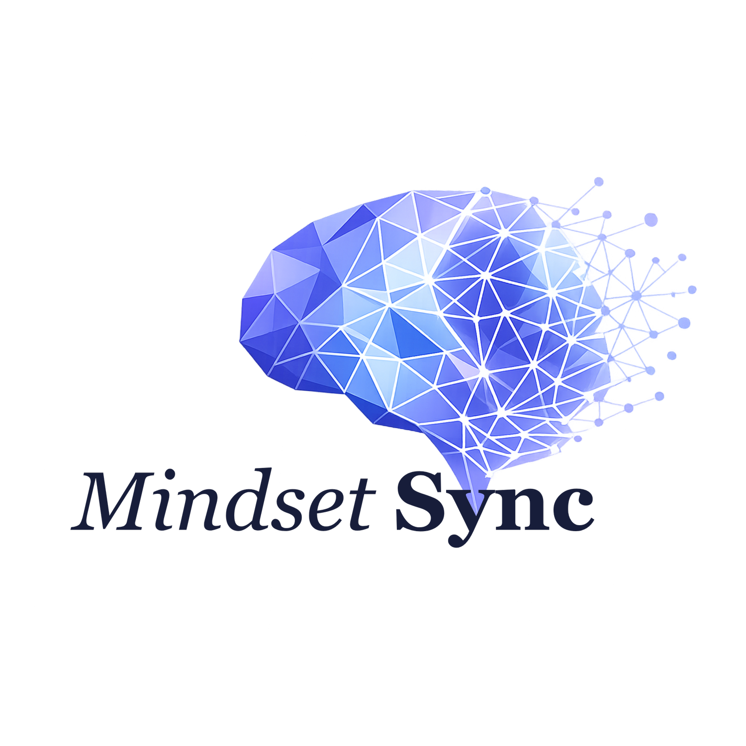 Mindset Sync