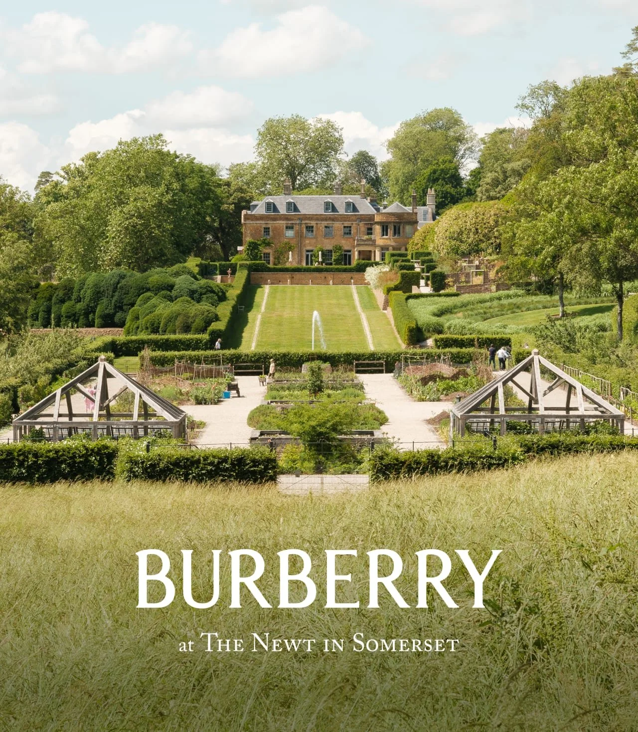 Newt-Burberry.jpeg
