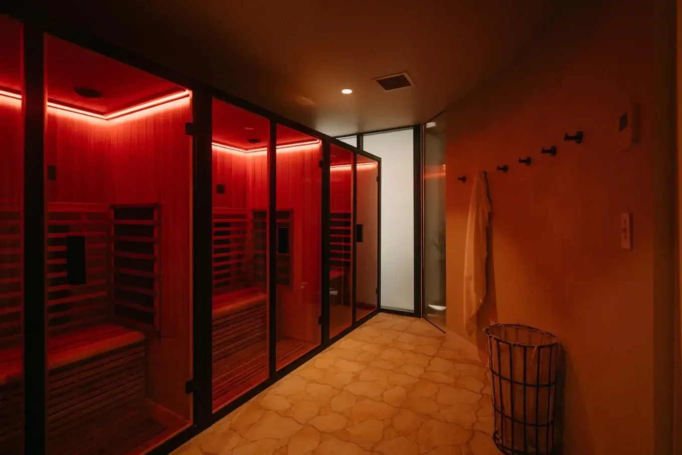 infrared-saunas-1788163891698-6d7c6d0b.webp