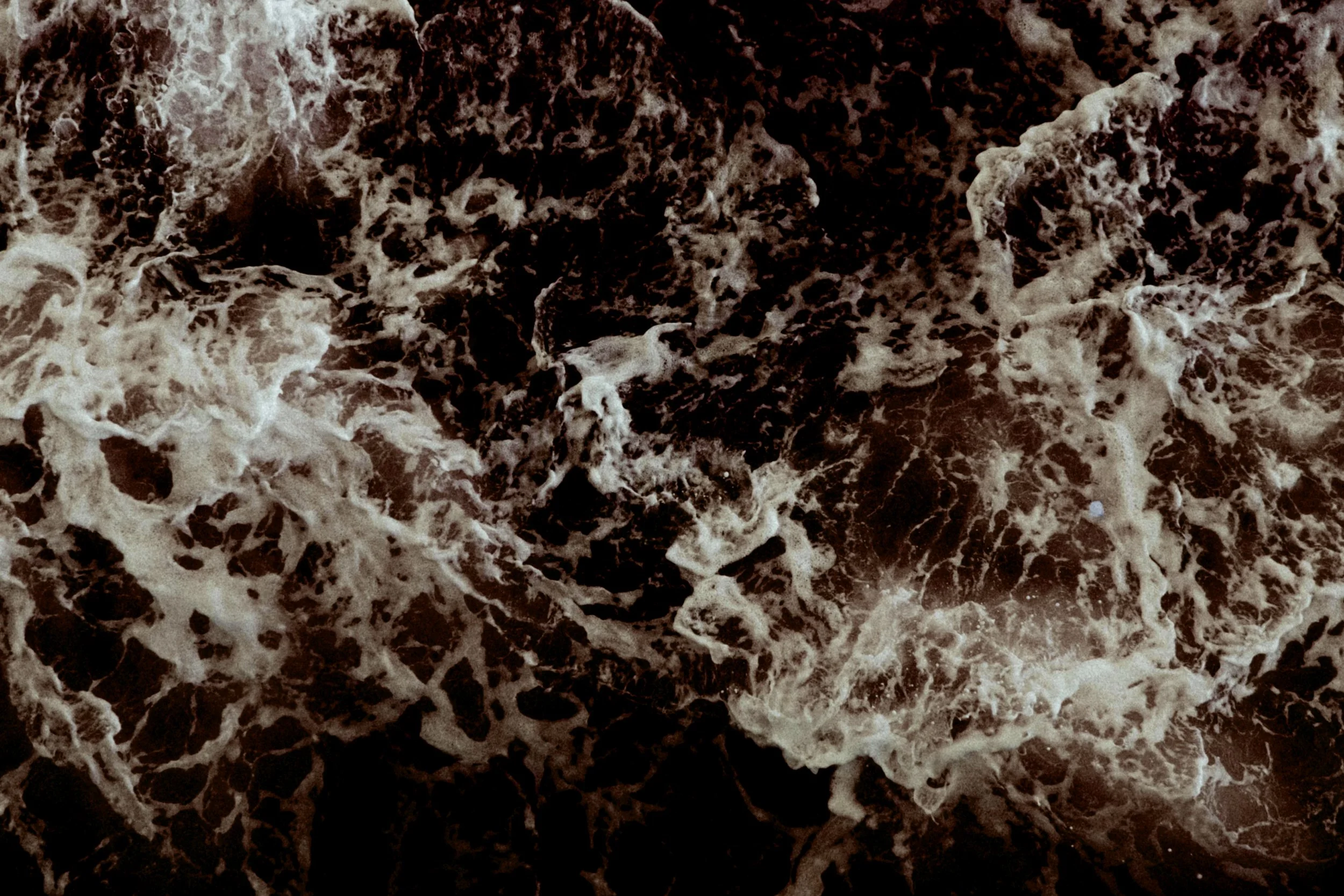 pexels-gizem-celebi-516416806-19595541 copy.jpg