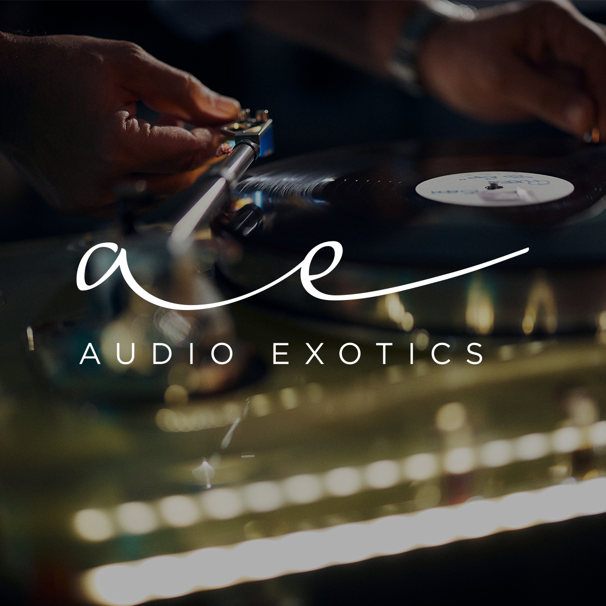Vertere Turntable MasterClass at Audio Exotics